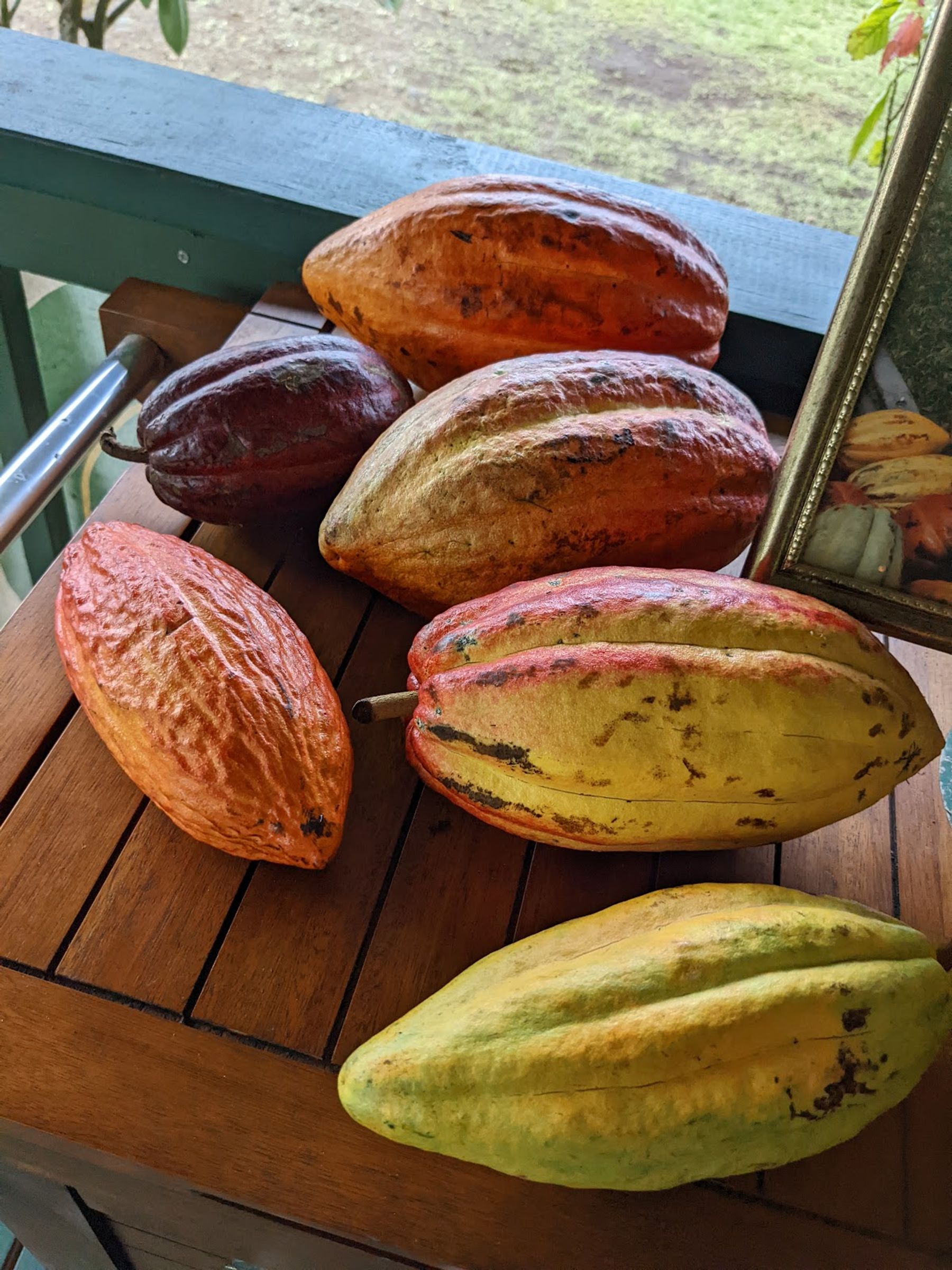 Photo 3 of Hana Gold Cacao Plantation in Hāna, Maui