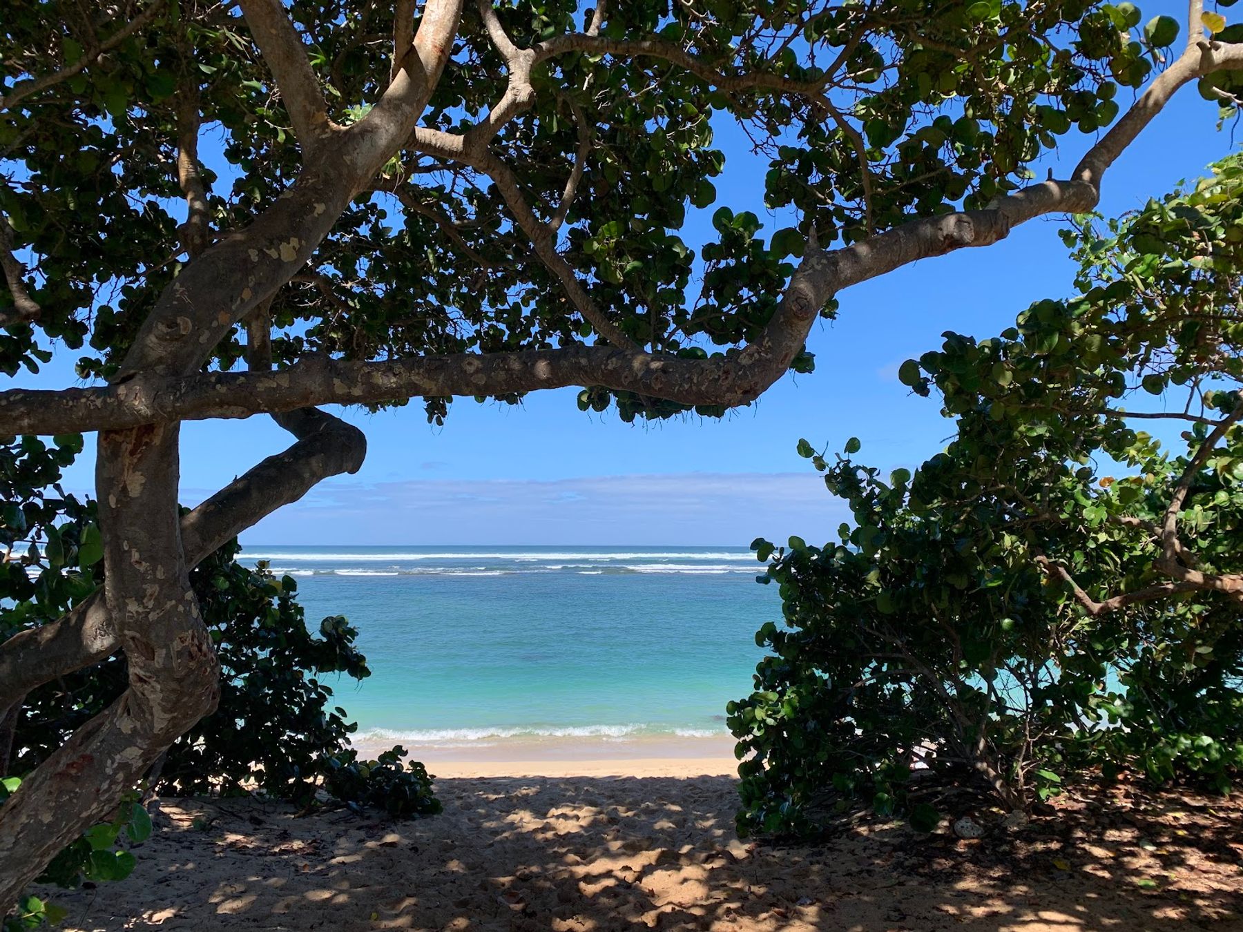 Photo 5 of ʻĀweoweo Beach Park in Waialua & Mokulēʻia, Oahu