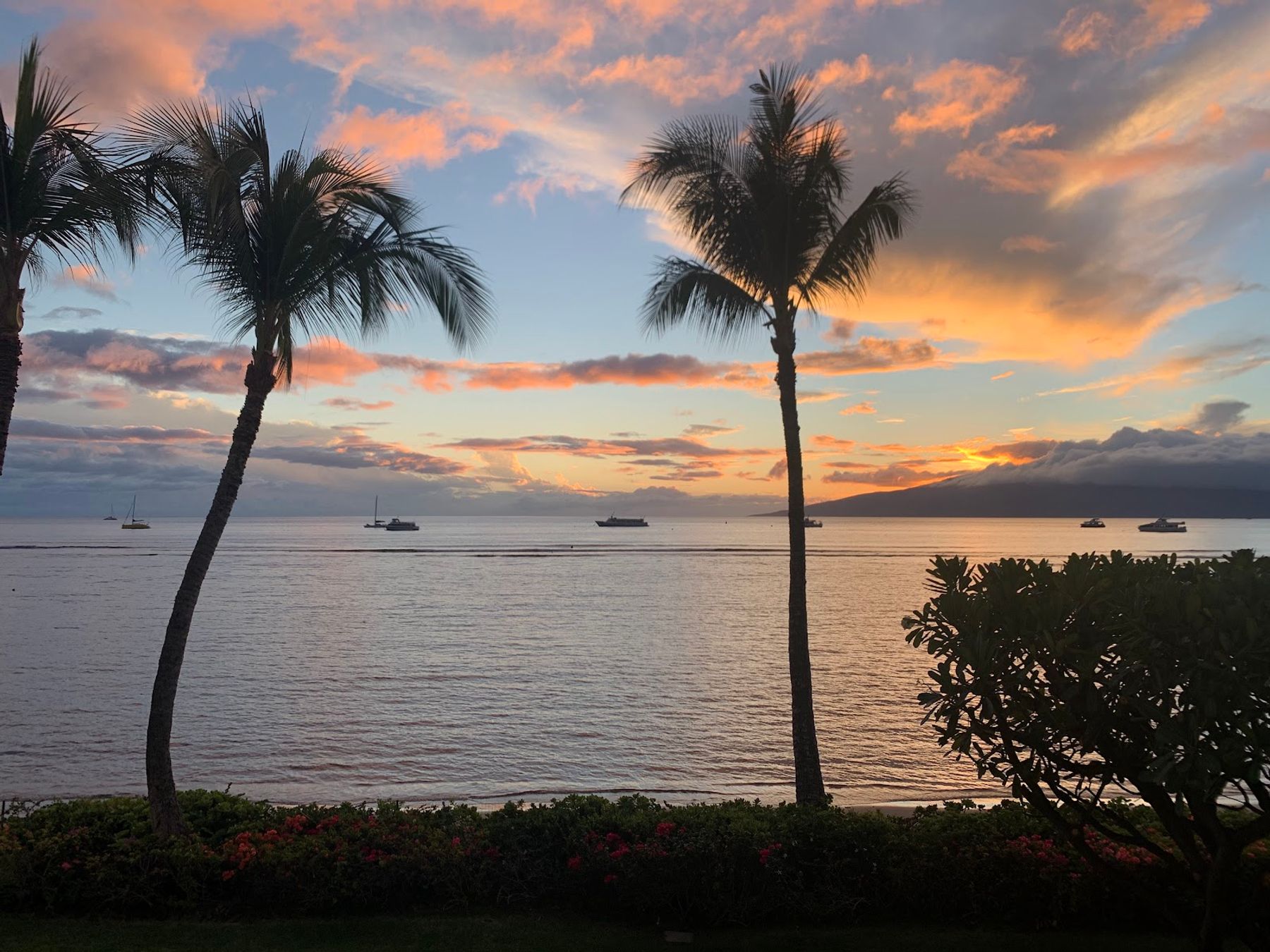 Photo 6 of Lahaina Shores Beach Resort in Lāhainā, Maui