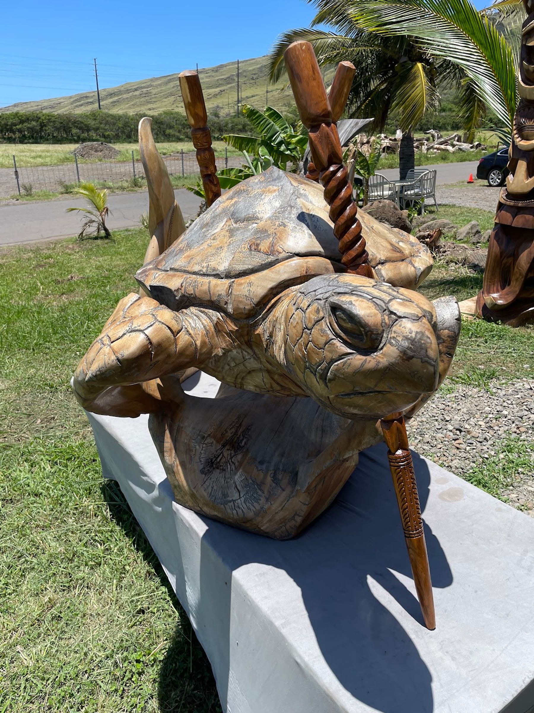 Photo 9 of The Coconut Inc in Māʻalaea, Maui