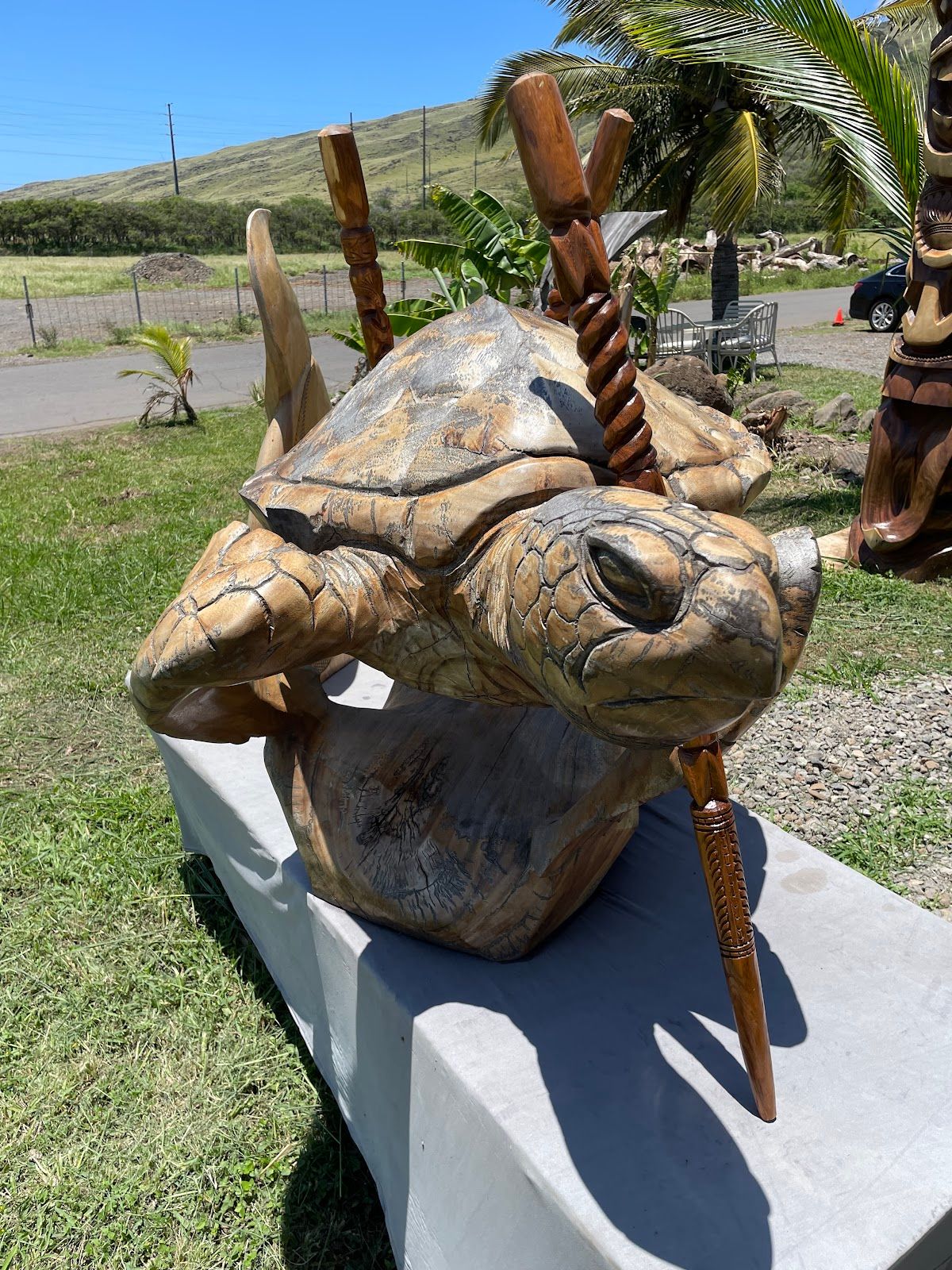 Photo 9 of The Coconut Inc in Māʻalaea, Maui