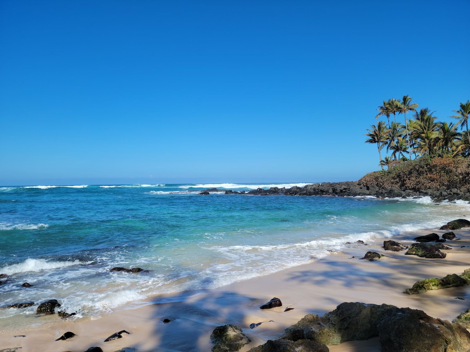 Photo 4 of Laniakea Beach in Haleʻiwa, Oahu