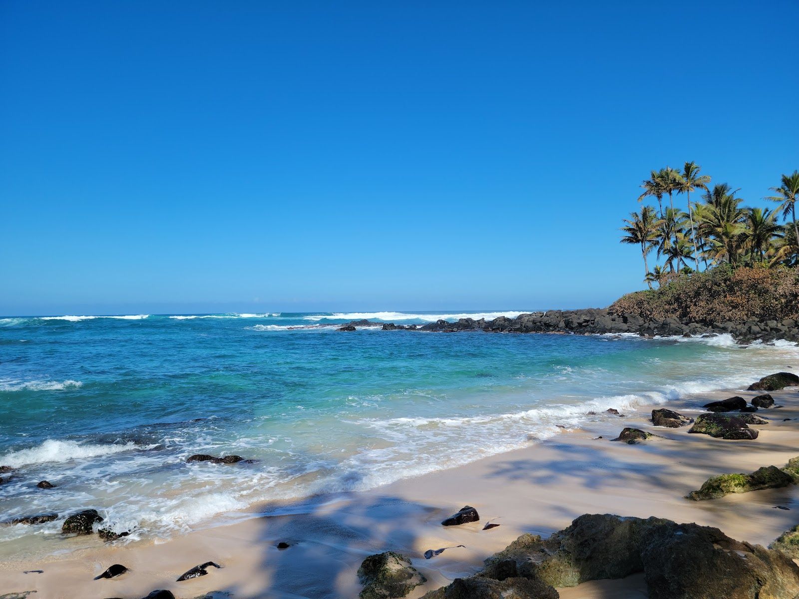 Photo 4 of Laniakea Beach in Haleʻiwa, Oahu