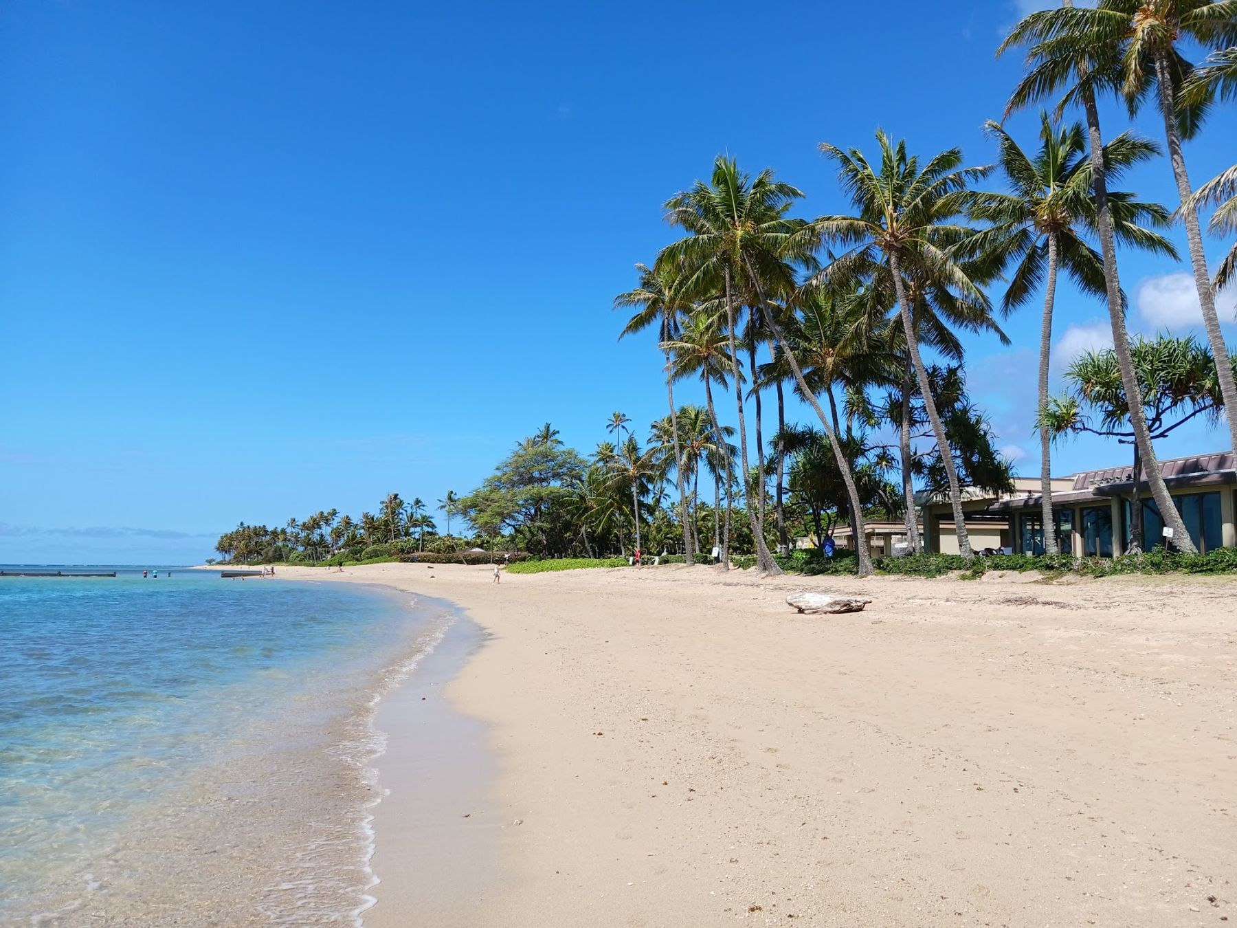 Photo 6 of Waiʻalae Beach Park in Kahala & Waialae, Oahu