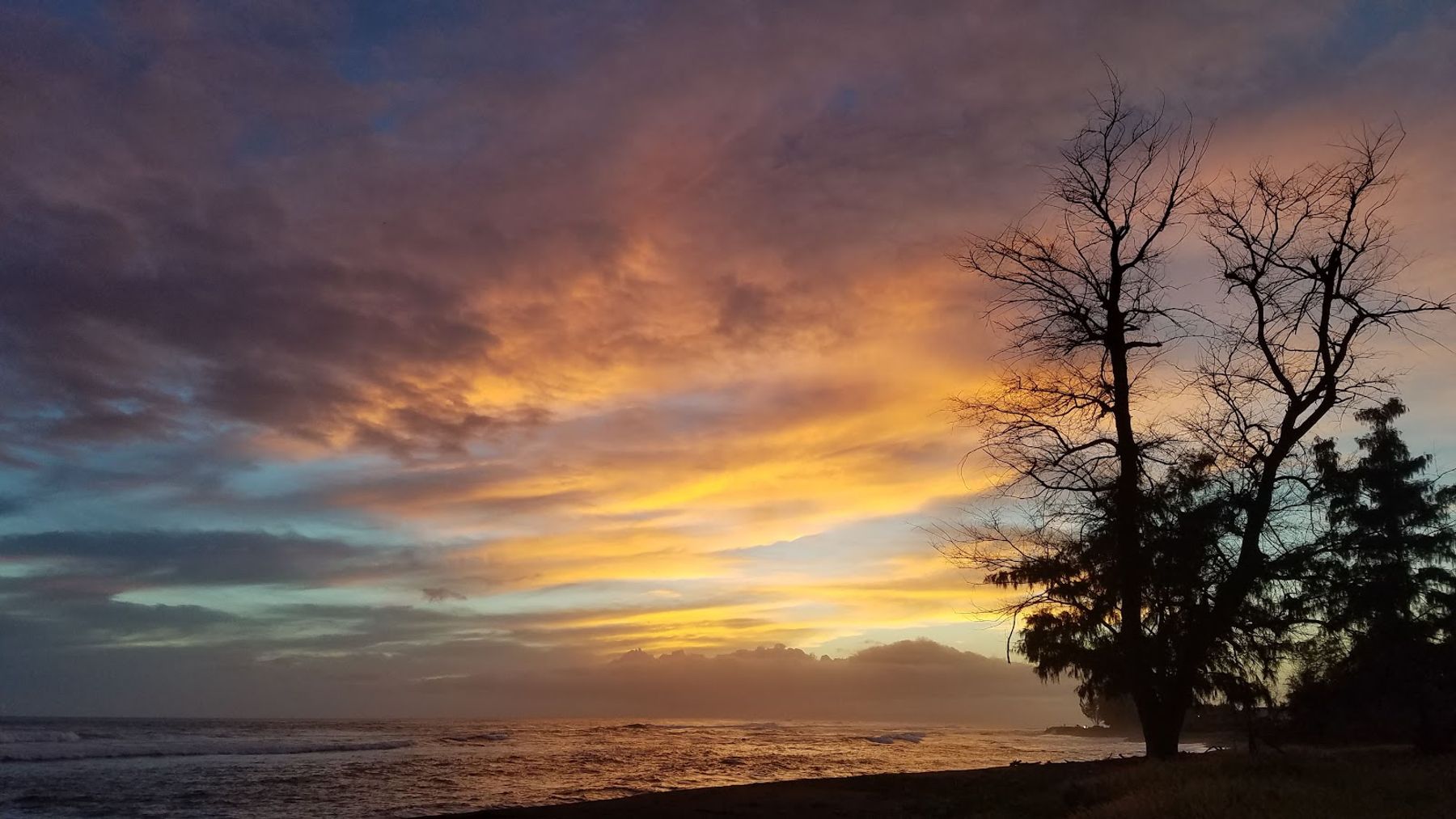 Kekaha Beach Park in Kekaha, Kaua‘i photo 4