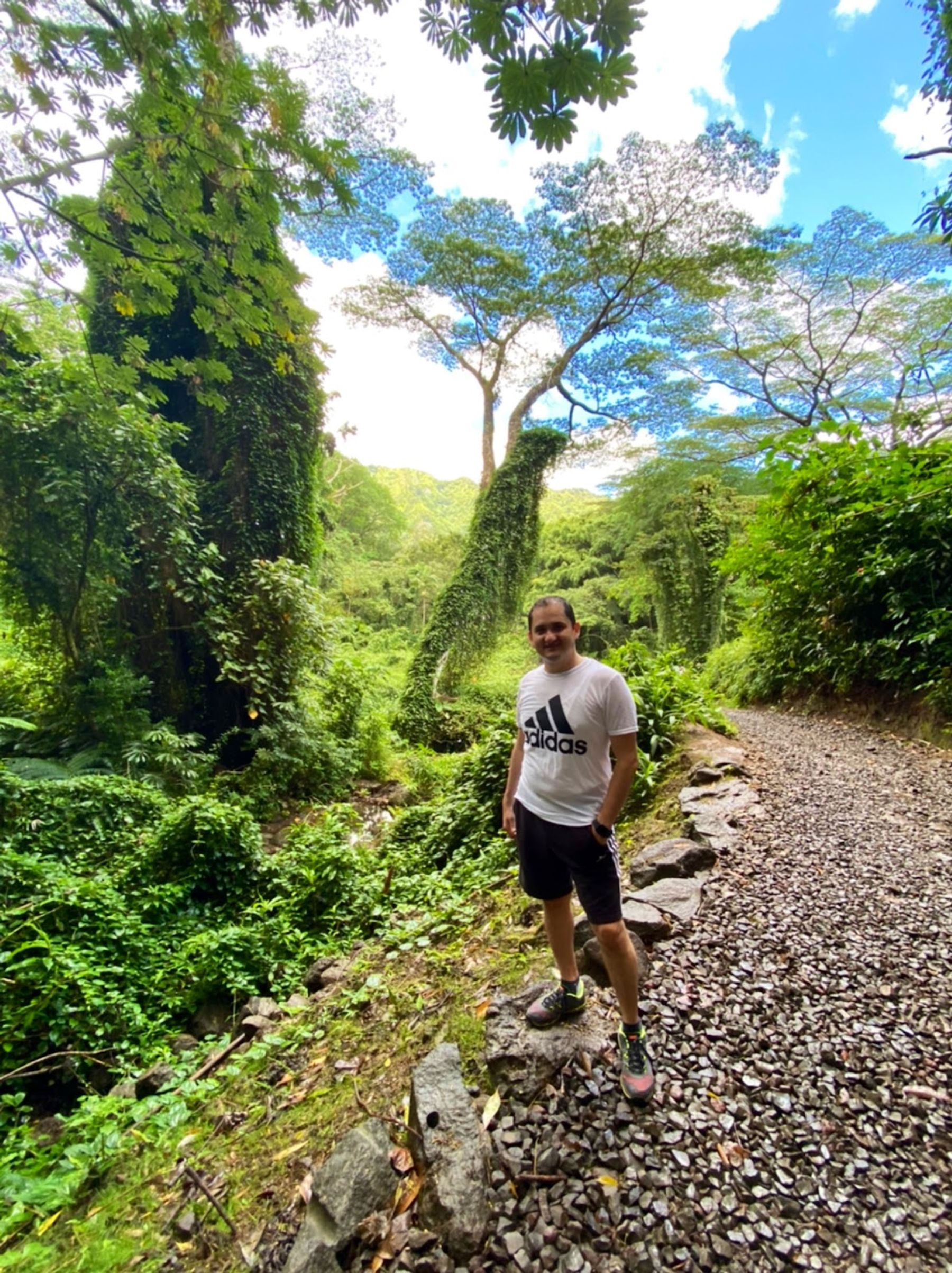 Photo 9 of Maunawili Falls Trail in Kailua & Lanikai, Oahu