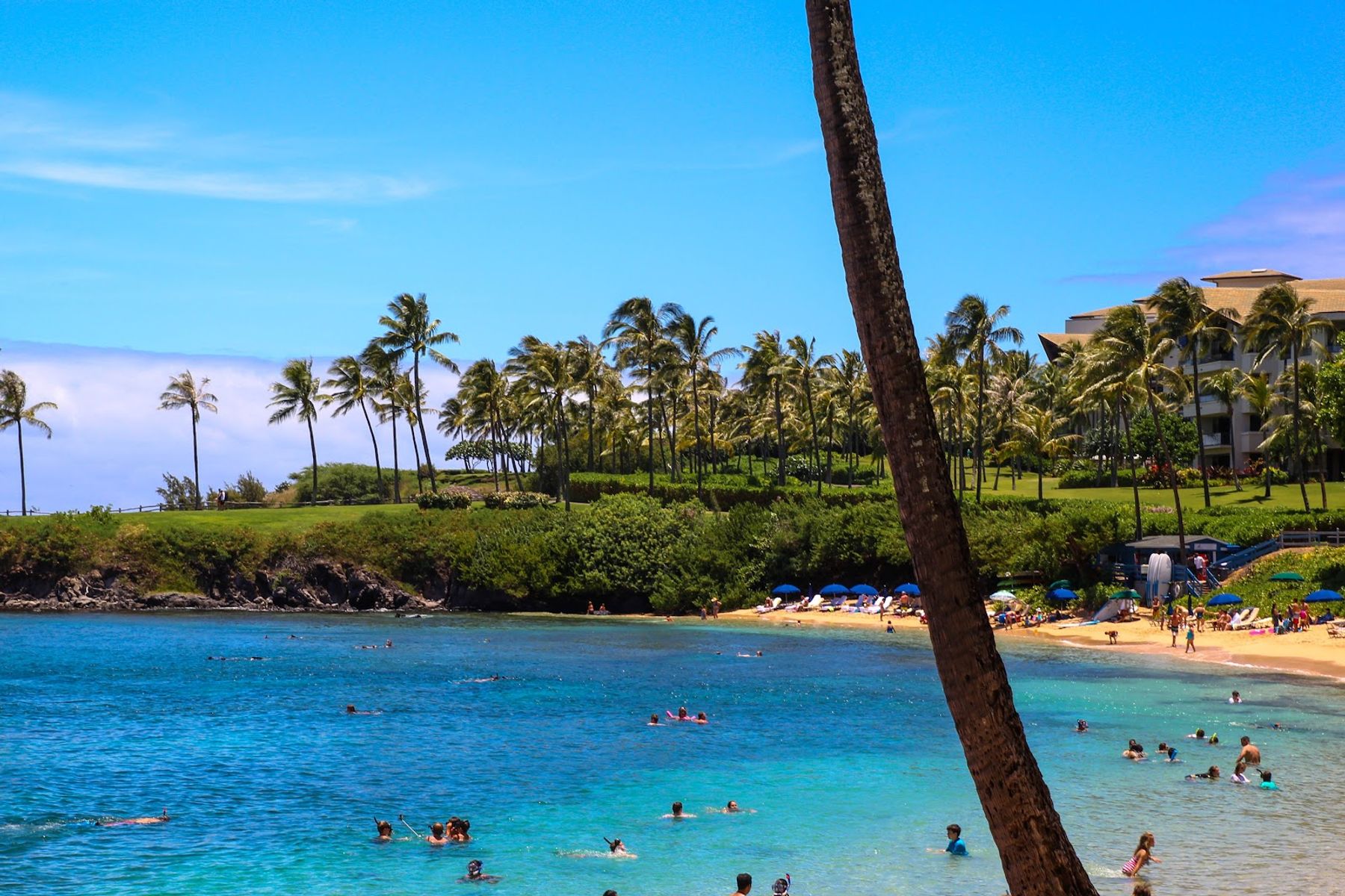 Photo 2 of Kapalua Bay Beach in Kapalua, Maui