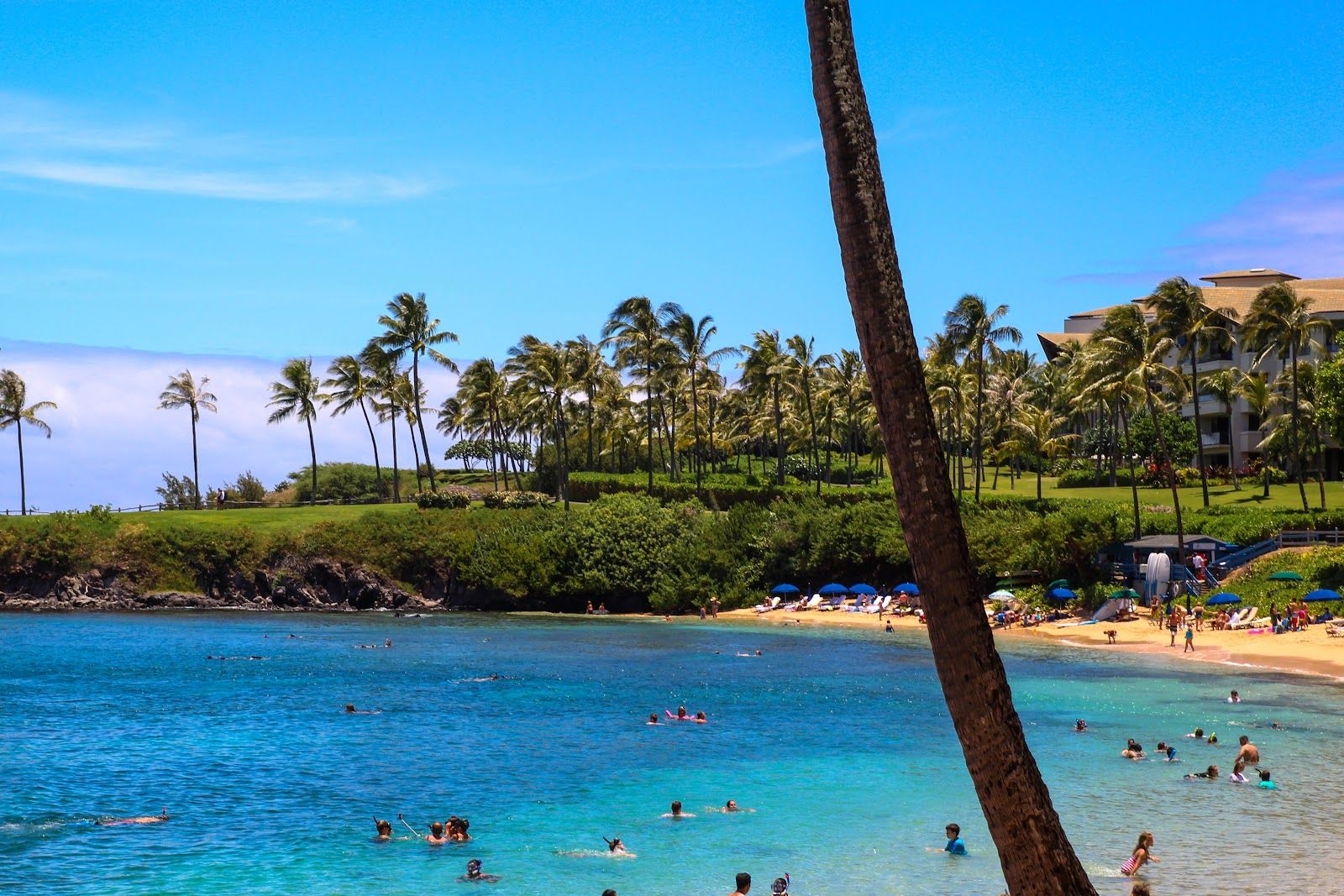 Photo 2 of Kapalua Bay Beach in Kapalua, Maui