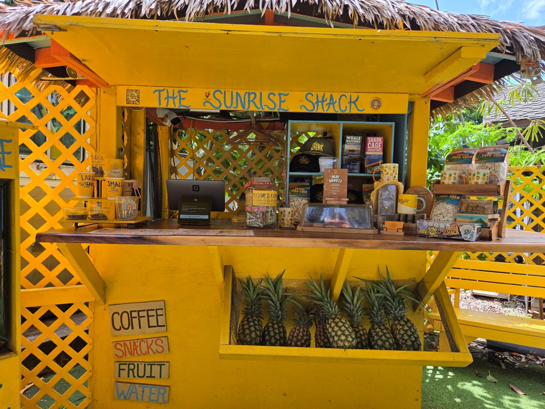 Photo 5 of The Sunrise Shack - Sharks Cove in Pūpūkea, Oahu