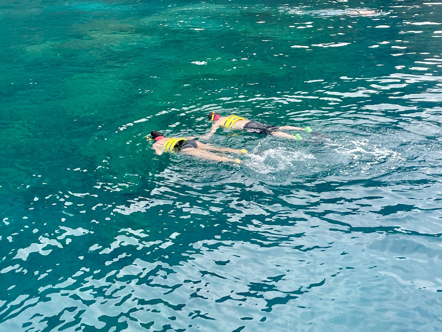 Photo 6 of Fair Wind Cruises in Kailua-Kona, Big Island