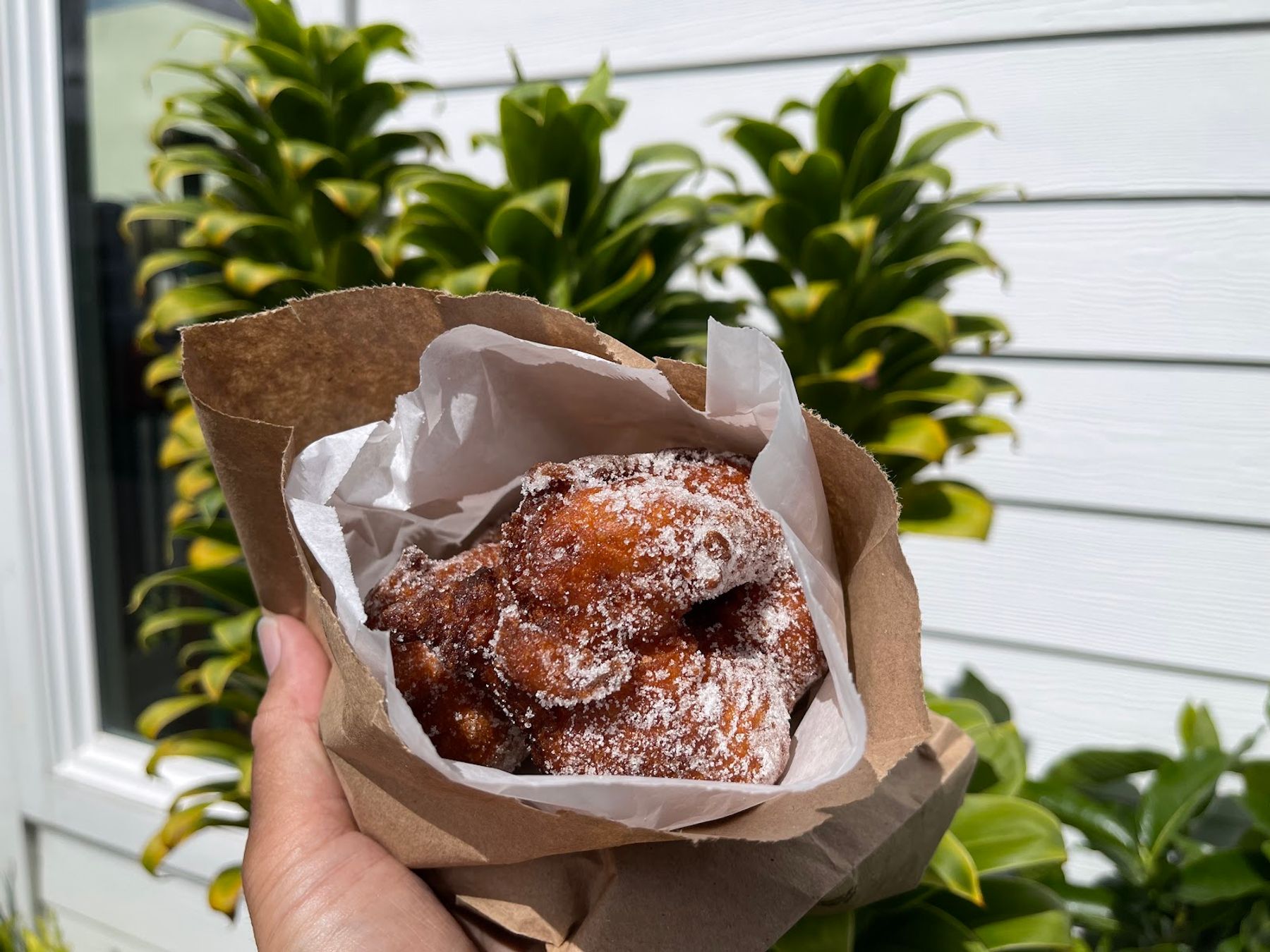 Photo 6 of Agnes' Portuguese Bake Shop in Kailua & Lanikai, Oahu