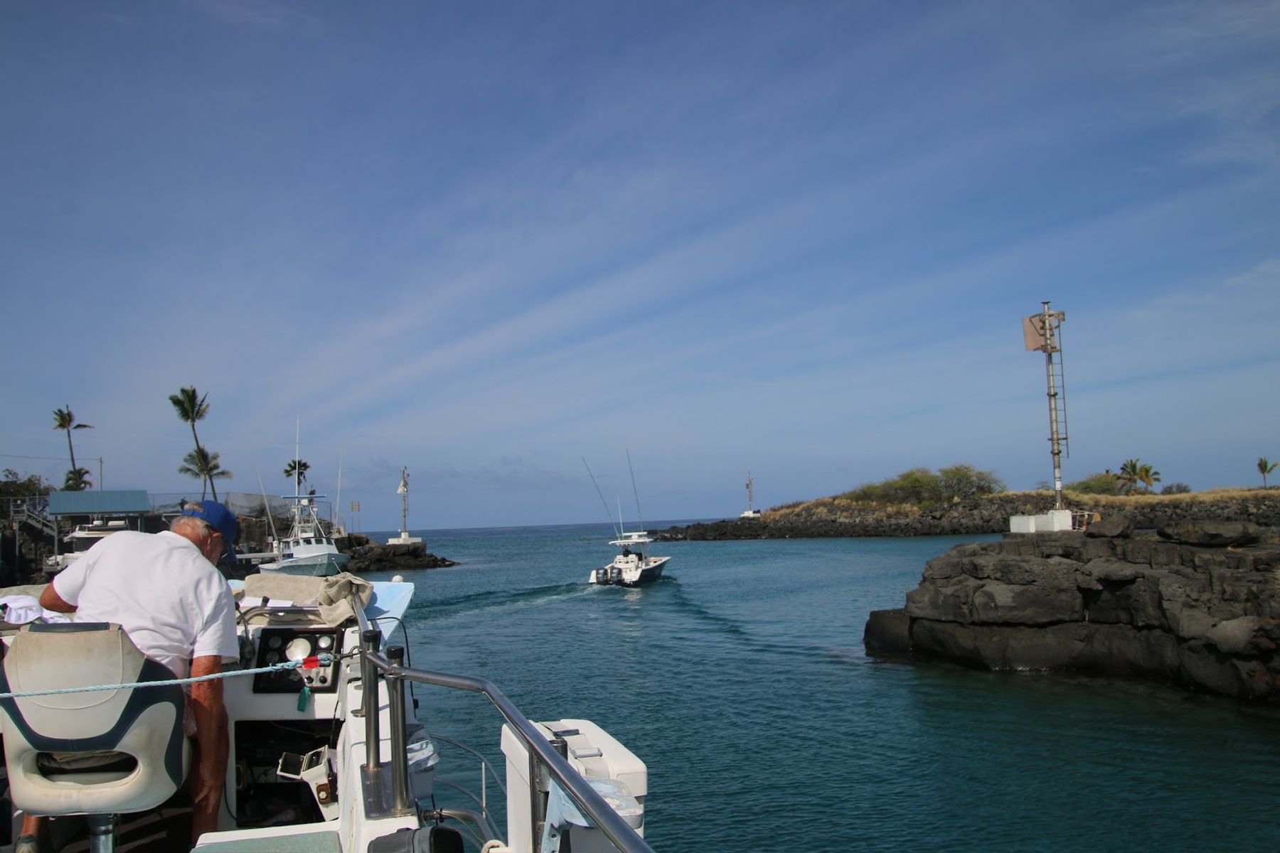 Photo 5 of Captain Dan McSweeney's Whale Watching Adventures in Kailua-Kona, Big Island