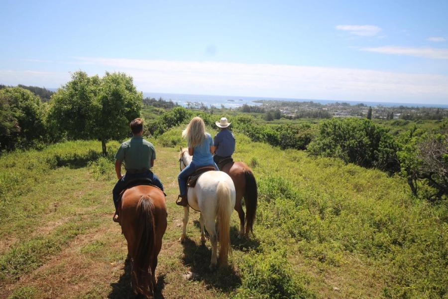 Photo 1 of Gunstock Ranch in Kahuku & Turtle Bay, Oahu
