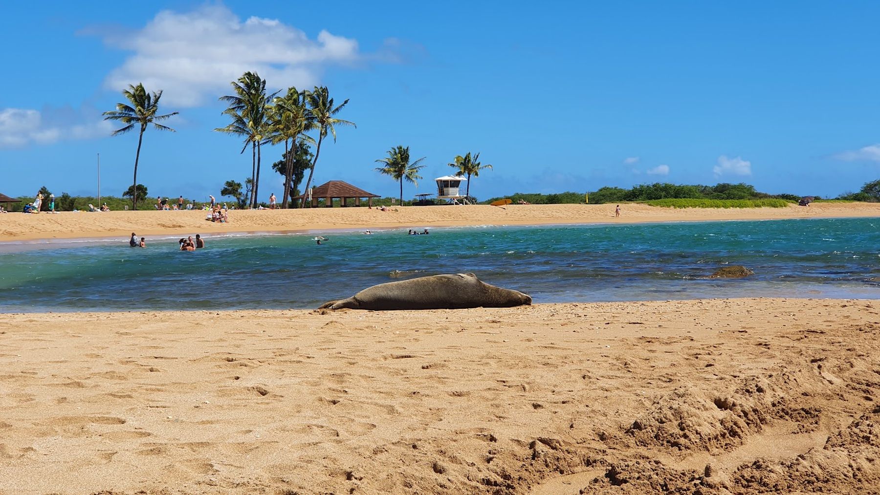 Salt Pond Beach Park in Hanapepe, Kaua‘i