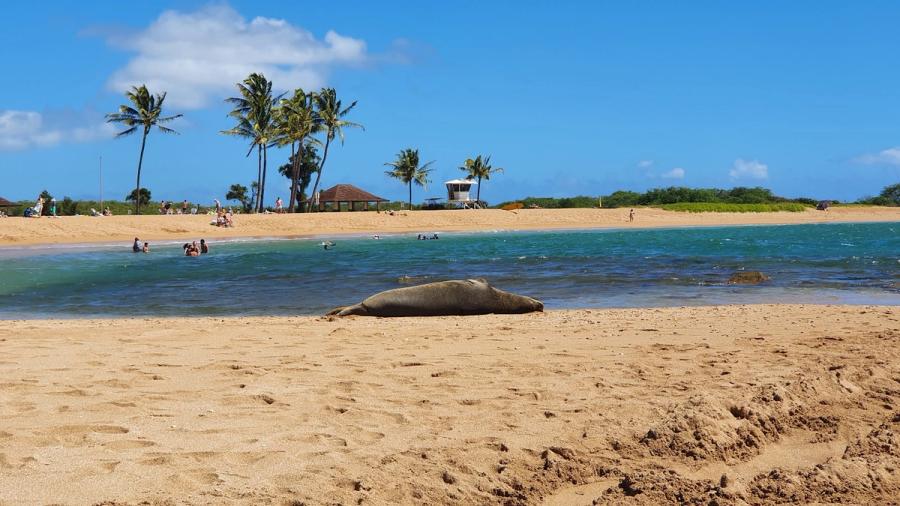 Salt Pond Beach Park in Hanapepe, Kaua‘i