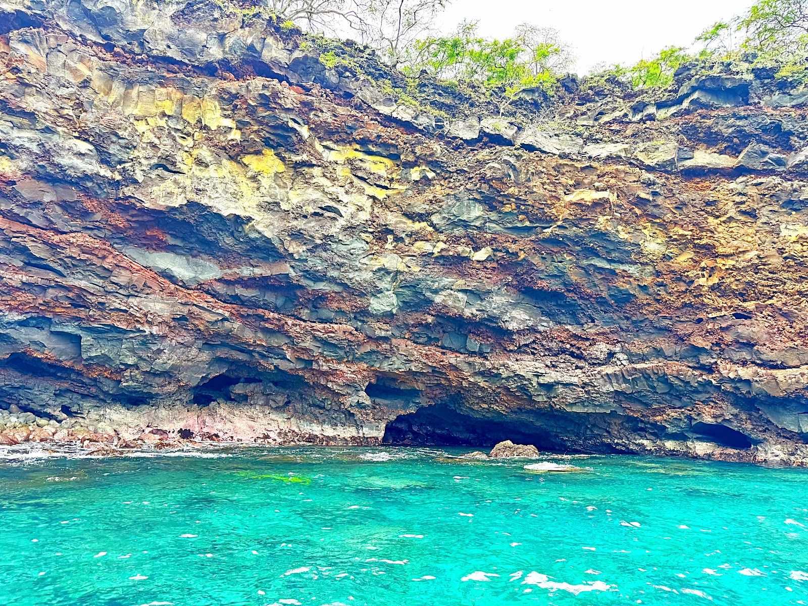 Photo 3 of Kona Ocean Adventures in Kailua-Kona, Big Island