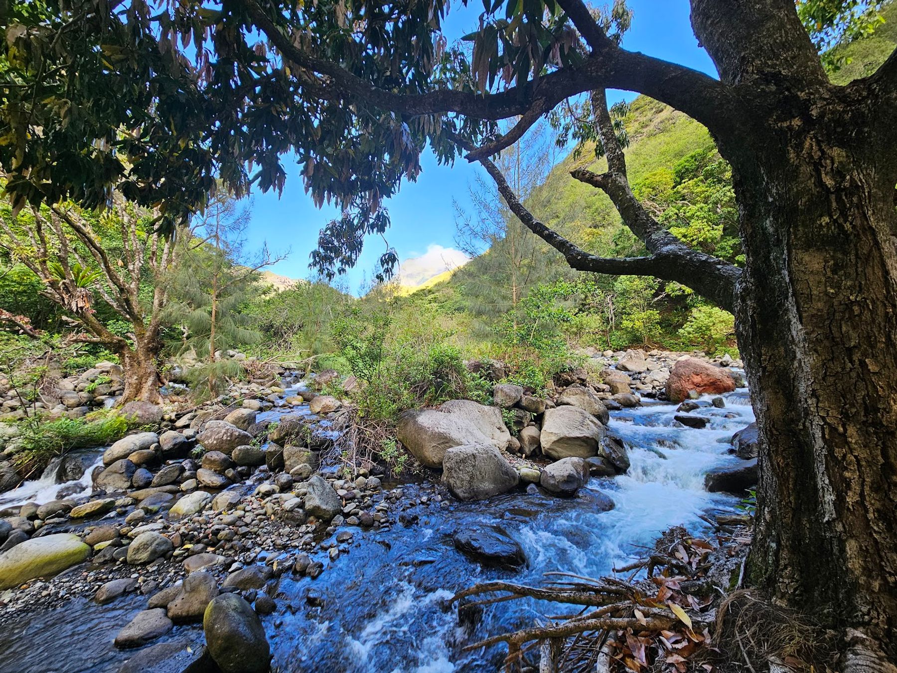 Photo 4 of ʻĪao Valley State Monument in Wailuku, Maui