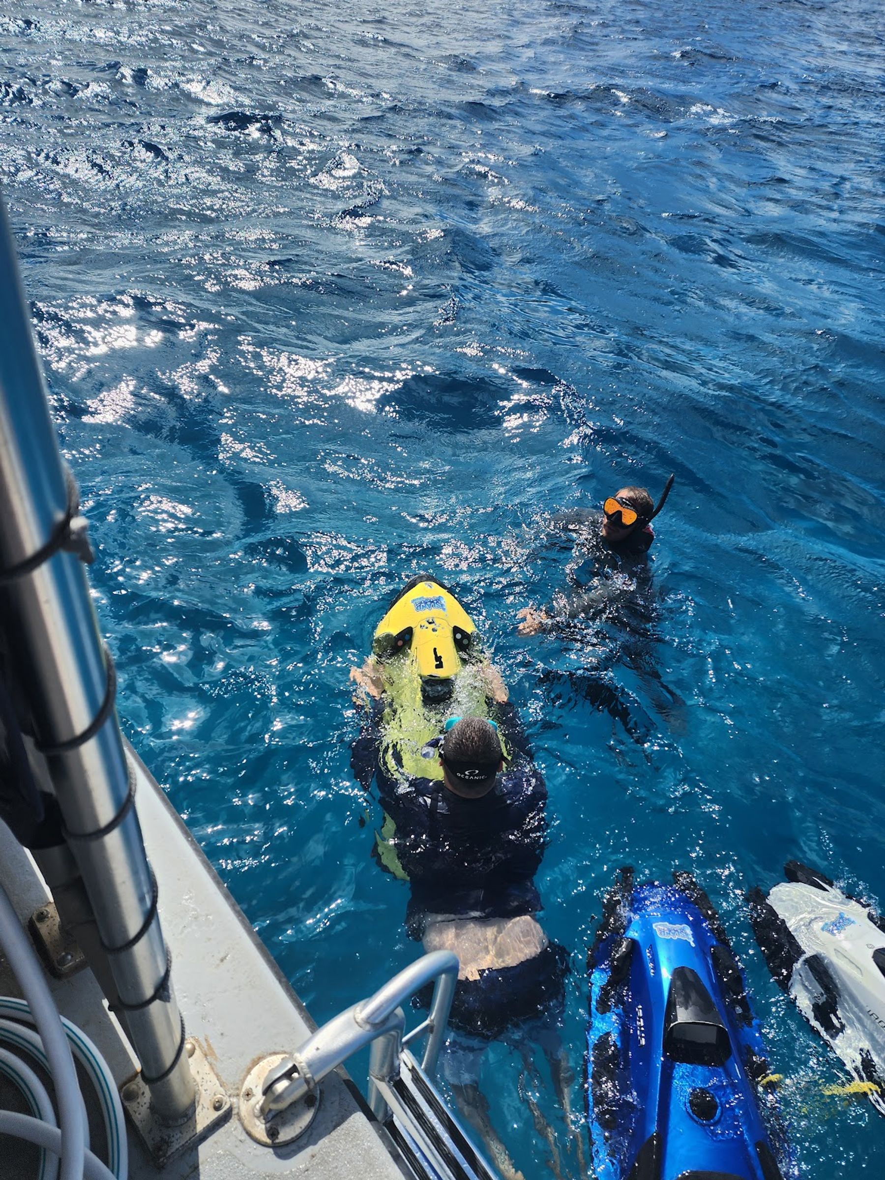 Photo 9 of Island Water Sports Hawaii in Hawaiʻi Kai & East Honolulu, Oahu