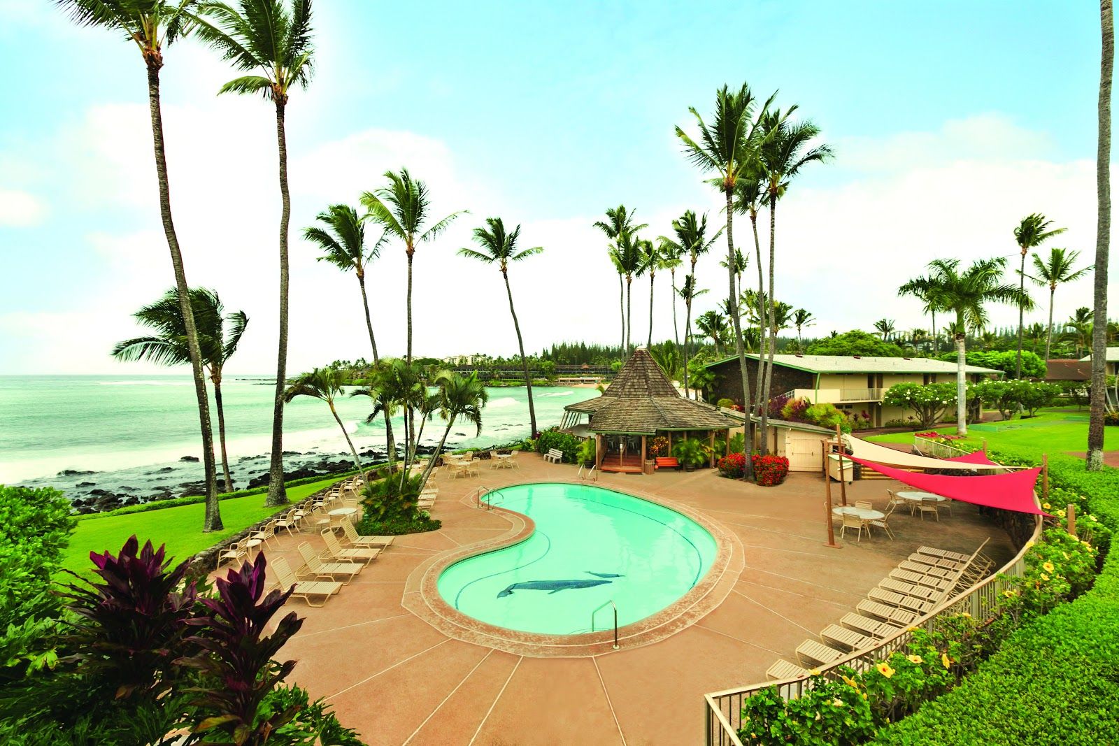 Photo 6 of Napili Shores Maui by Outrigger in Kapalua, Maui