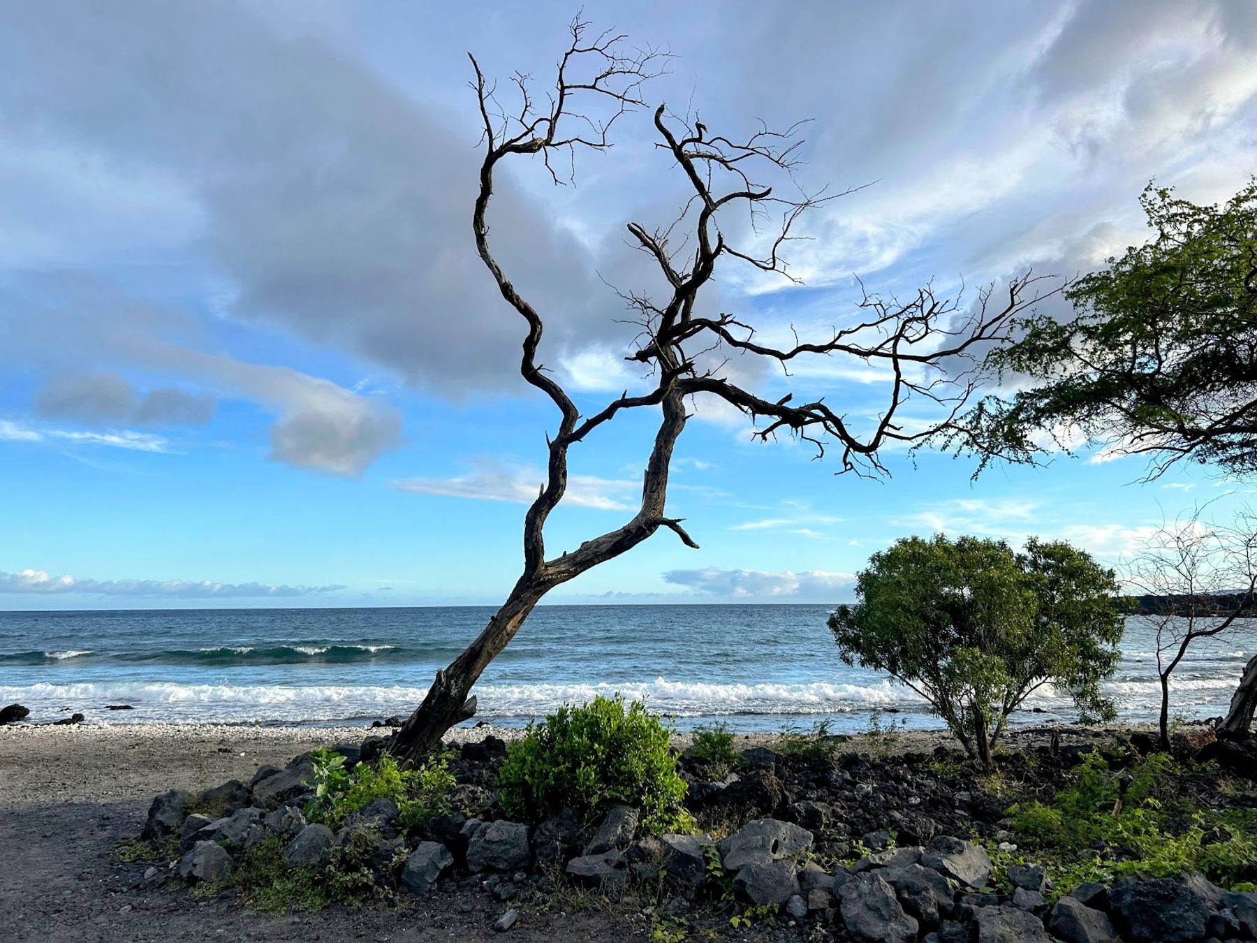 Photo 7 of Ahihi-Kinau Natural Reserve in Mākena, Maui