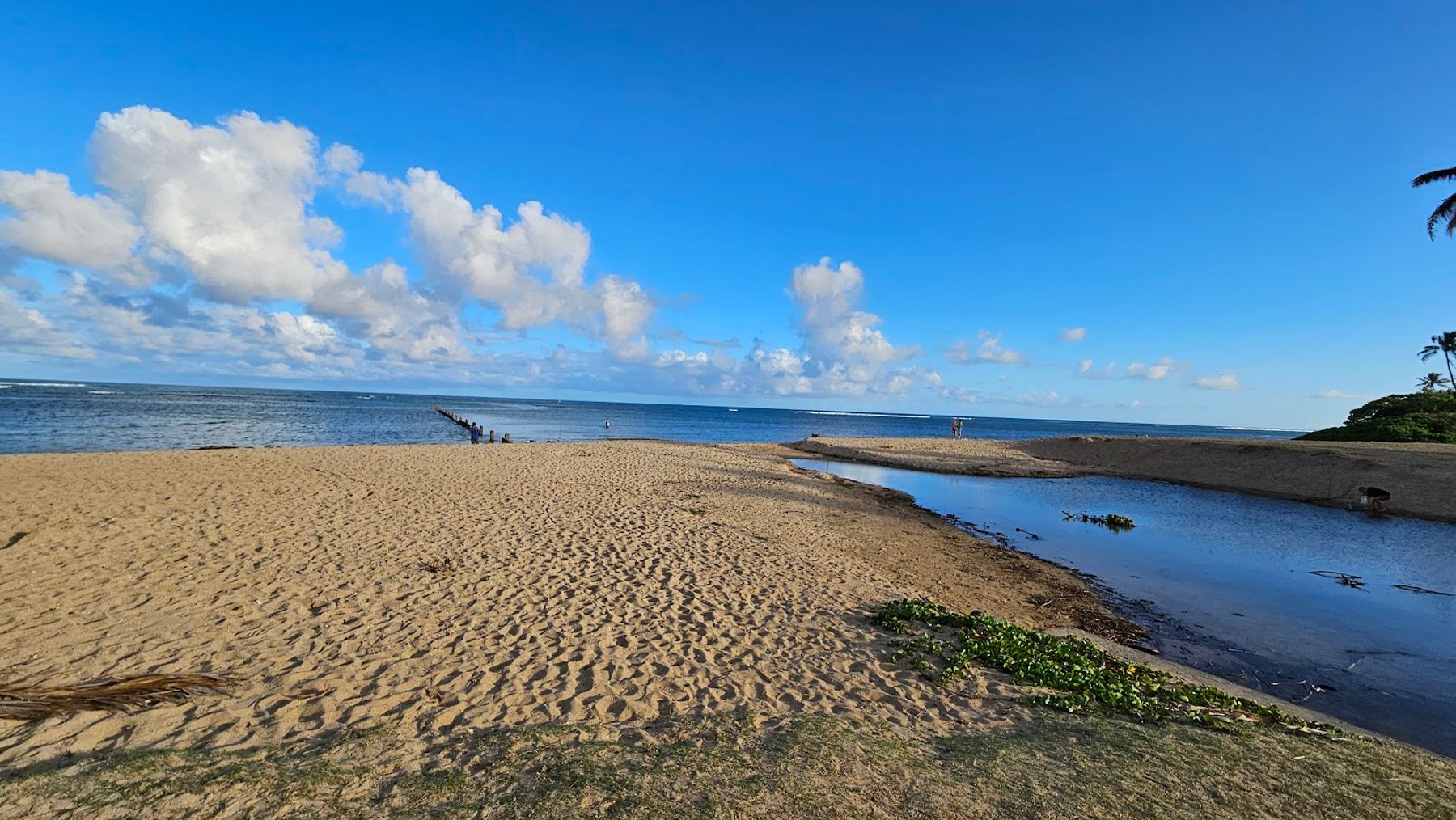 Photo 4 of Waiʻalae Beach Park in Kahala & Waialae, Oahu