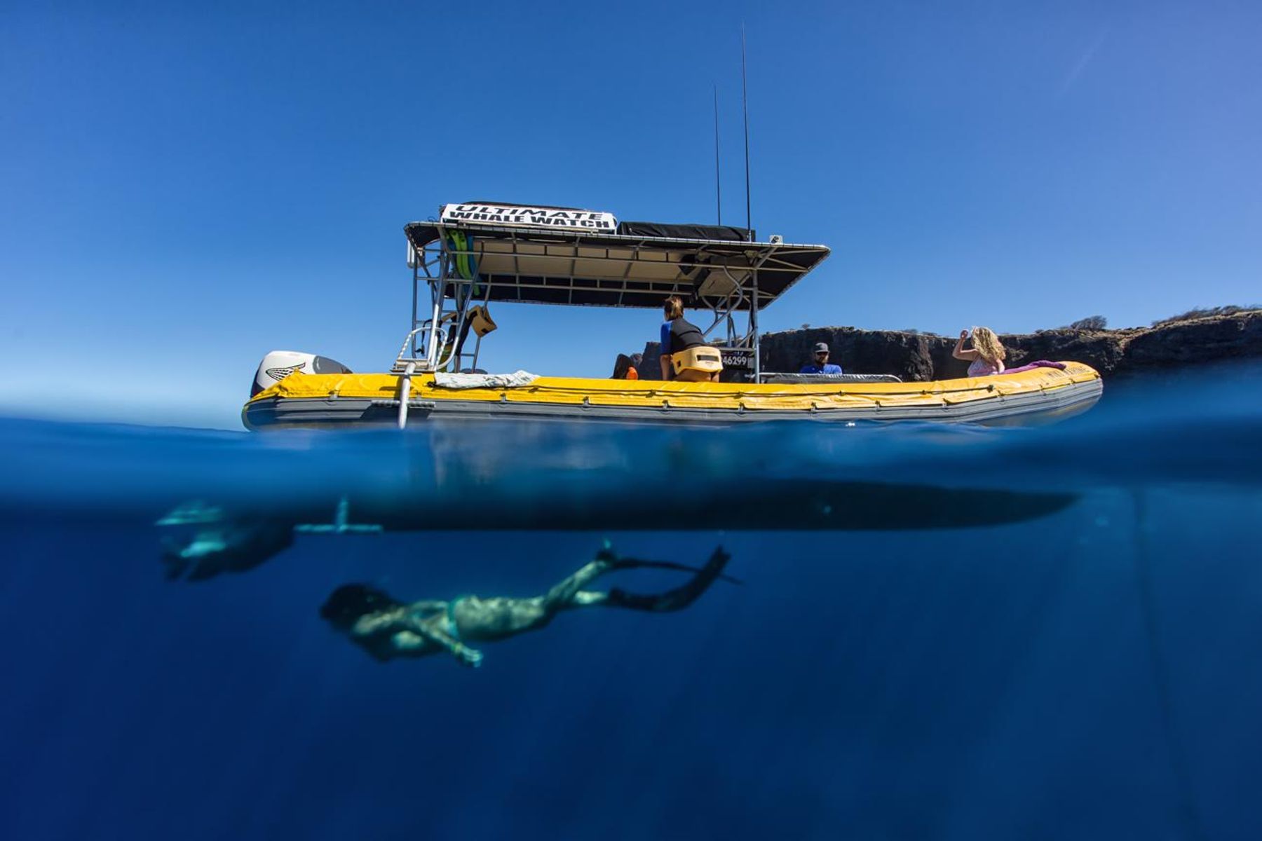 Photo 7 of Ultimate Whale Watch & Snorkel in Lāhainā, Maui
