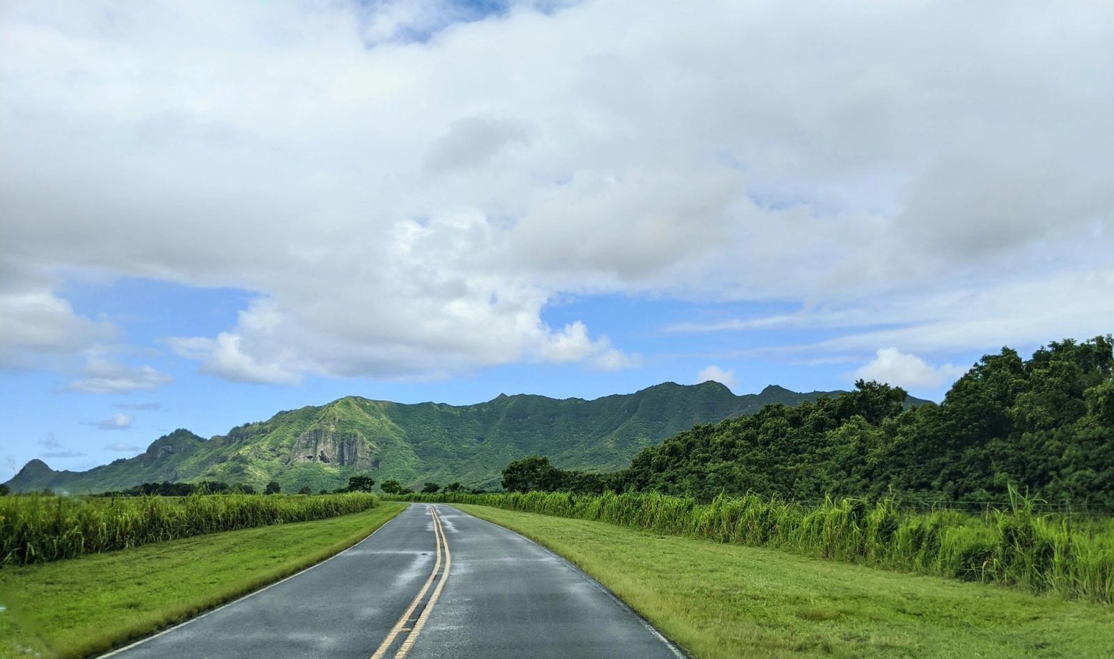 Renting a Car on Kauai: What You Need to Know