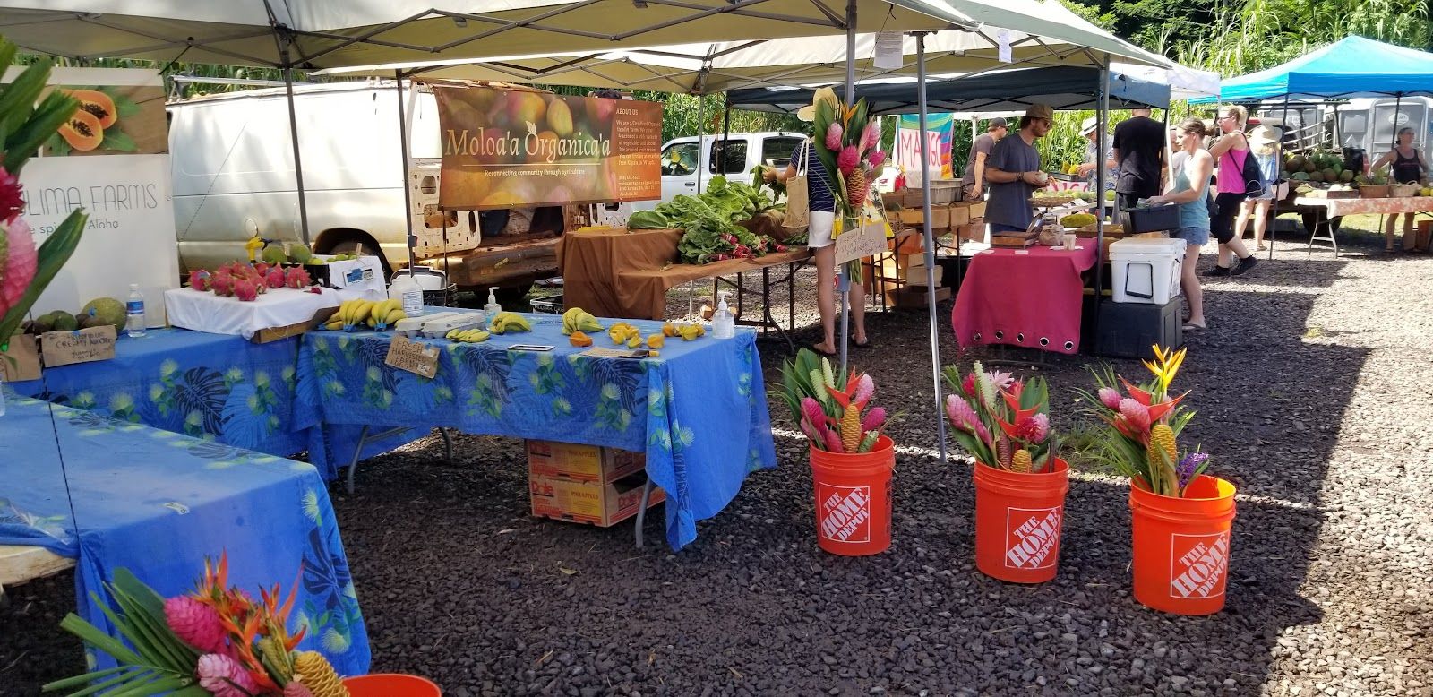 Anaina Hou Community Market in Kīlauea, Kaua‘i photo 2