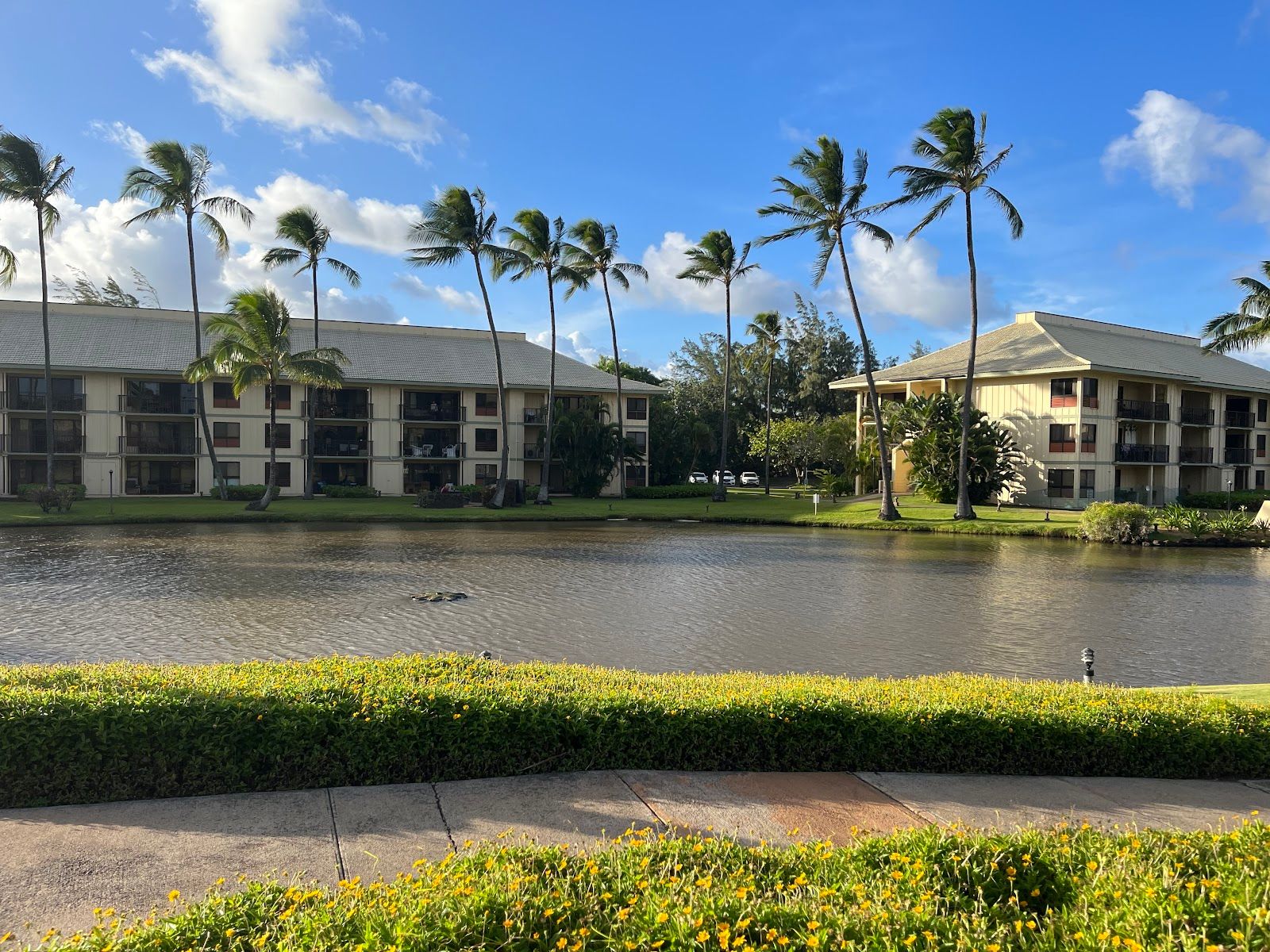 Kauai Beach Villas lodging in Lihue, Kaua‘i