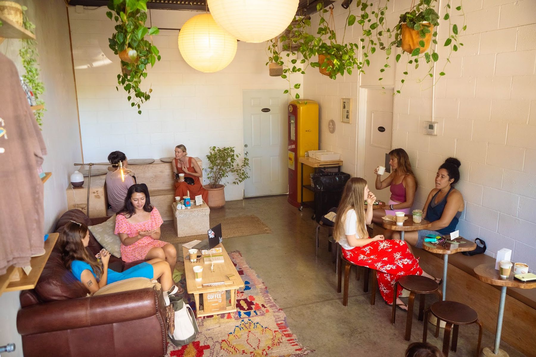 Photo 5 of The Bird's Nest - Craft Coffee in Waialua & Mokulēʻia, Oahu