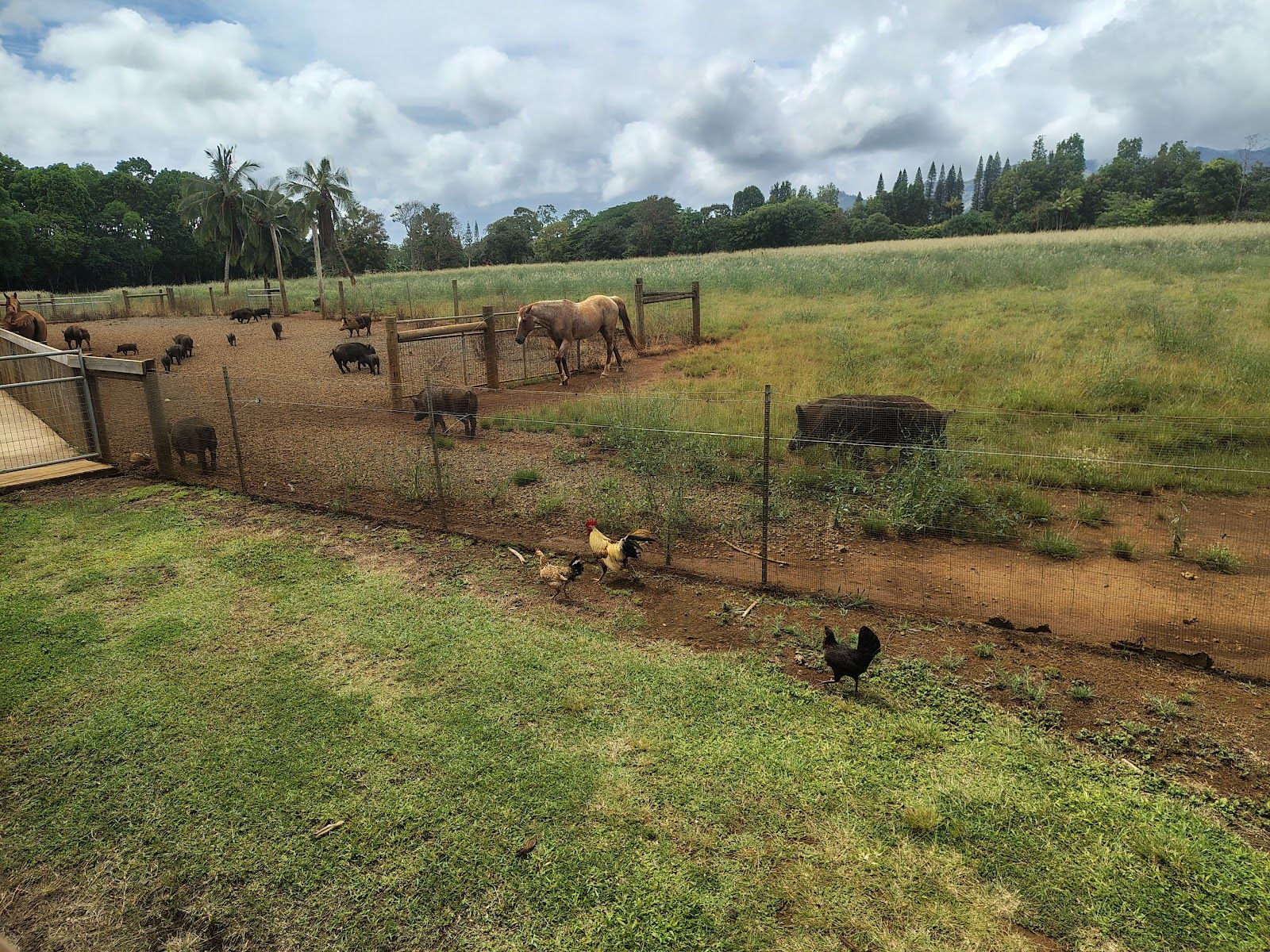 Kauai Plantation Railway in Lihue, Kaua‘i photo 2