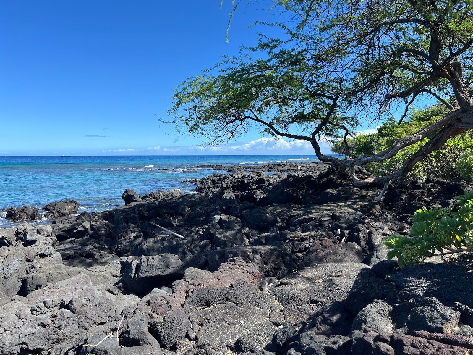 Photo 1 of Ala Kahakai National Historic Trail in South Kona, Big Island