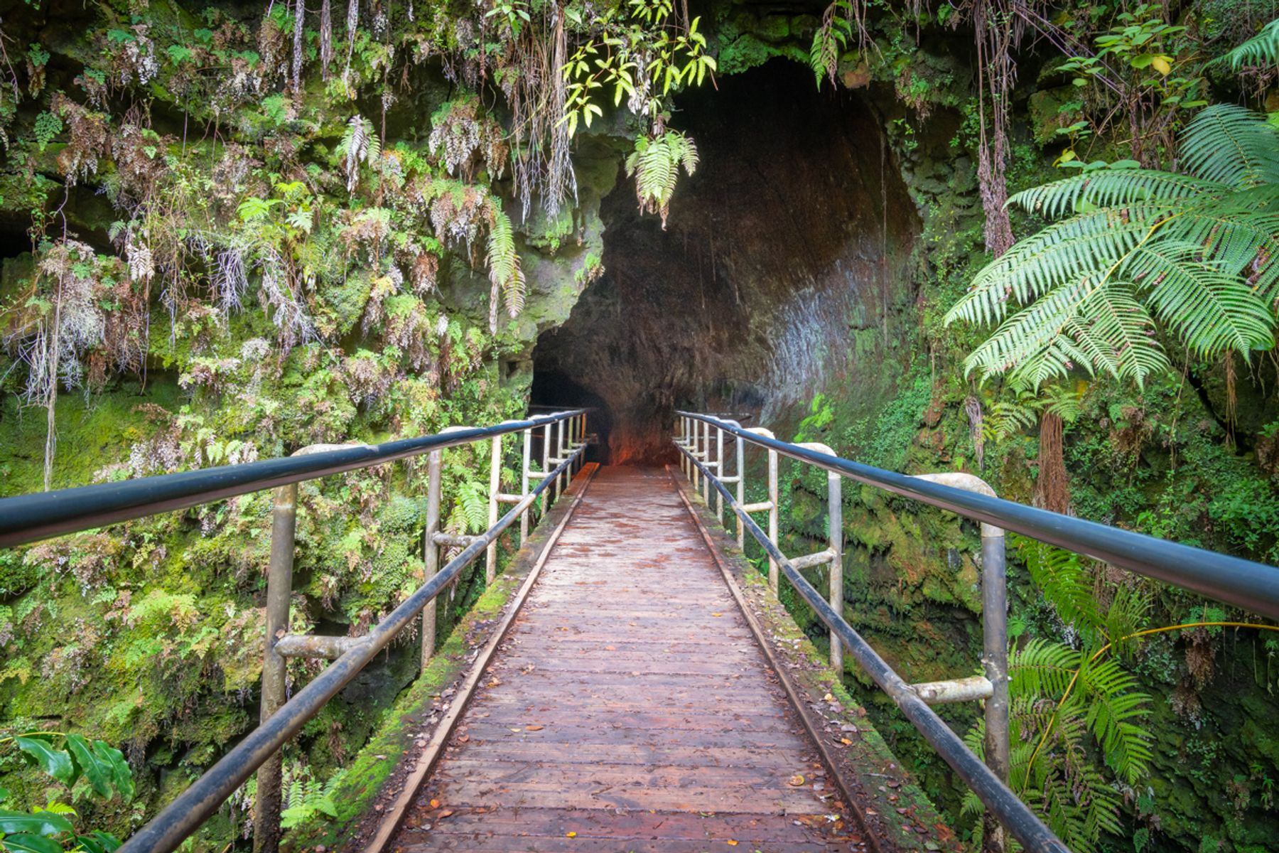 Photo 2 of Polynesian Adventure Tours in Hilo, Big Island