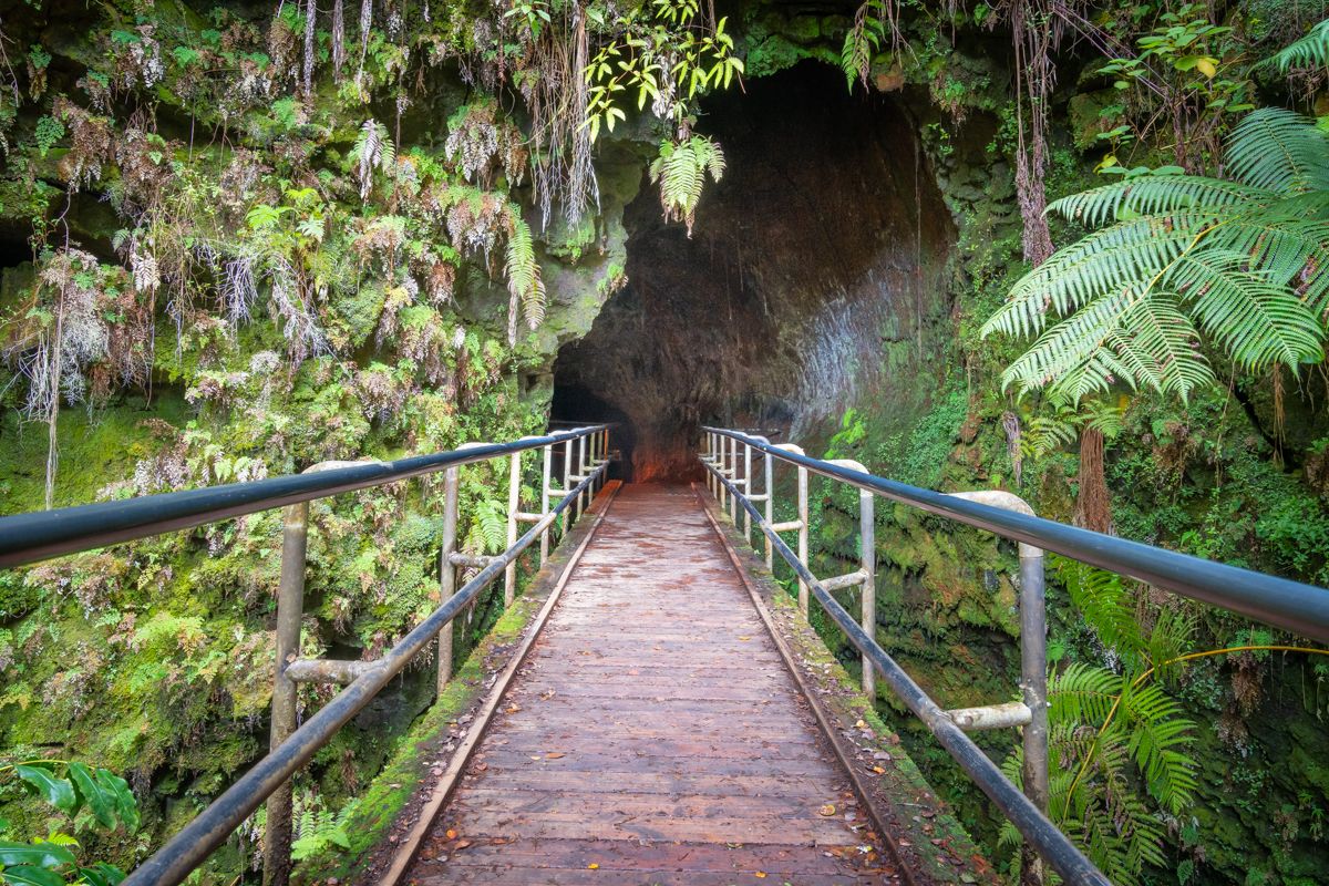 Photo 2 of Polynesian Adventure Tours in Hilo, Big Island