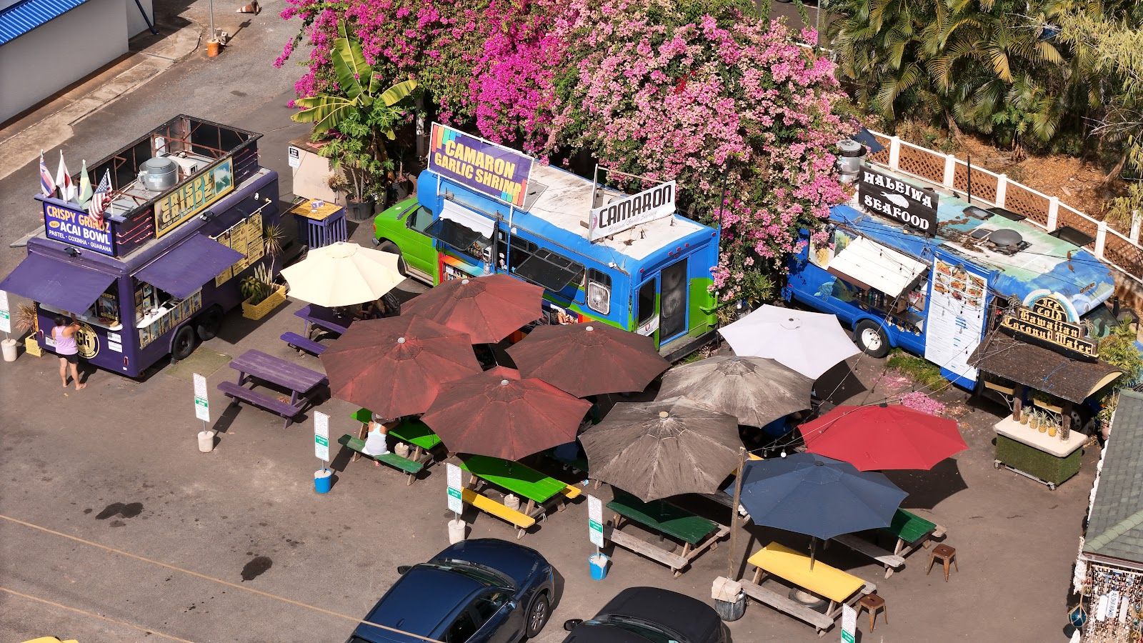 Photo 7 of Crispy Grindz Haleiwa in Haleʻiwa, Oahu
