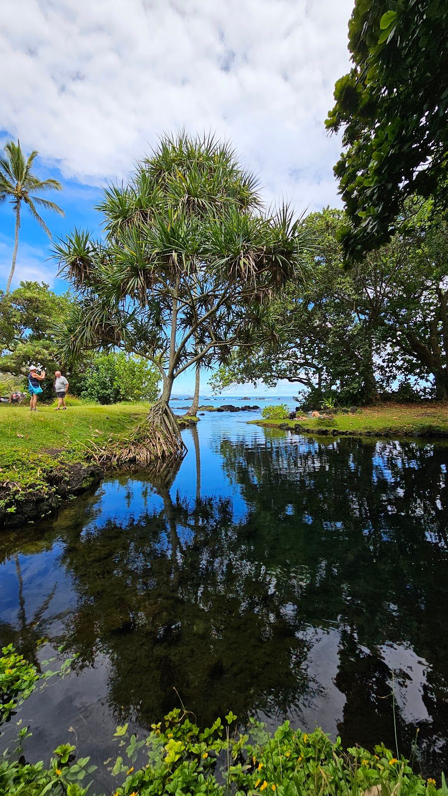Photo 3 of Carlsmith Beach Park in Hilo, Big Island