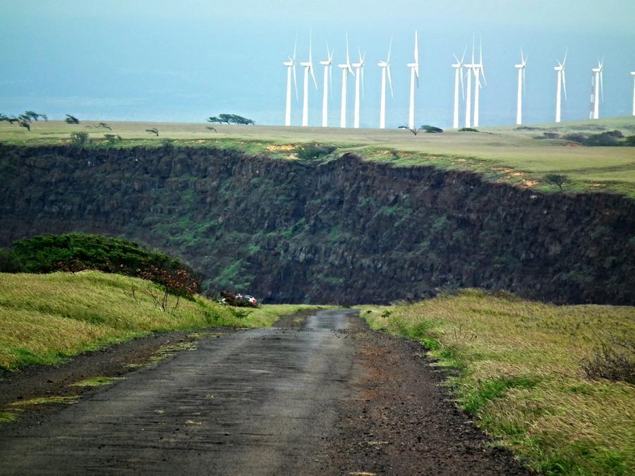 Narrow paved road through grassy coastal cliffs toward a ridge lined with wind turbines at South Point on Hawaii Island.