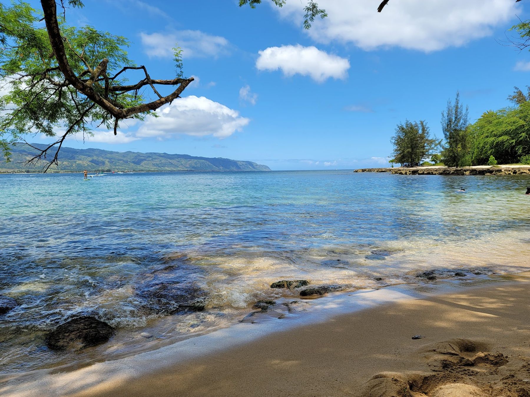 Photo 7 of Puaʻena Point Beach Park in Haleʻiwa, Oahu