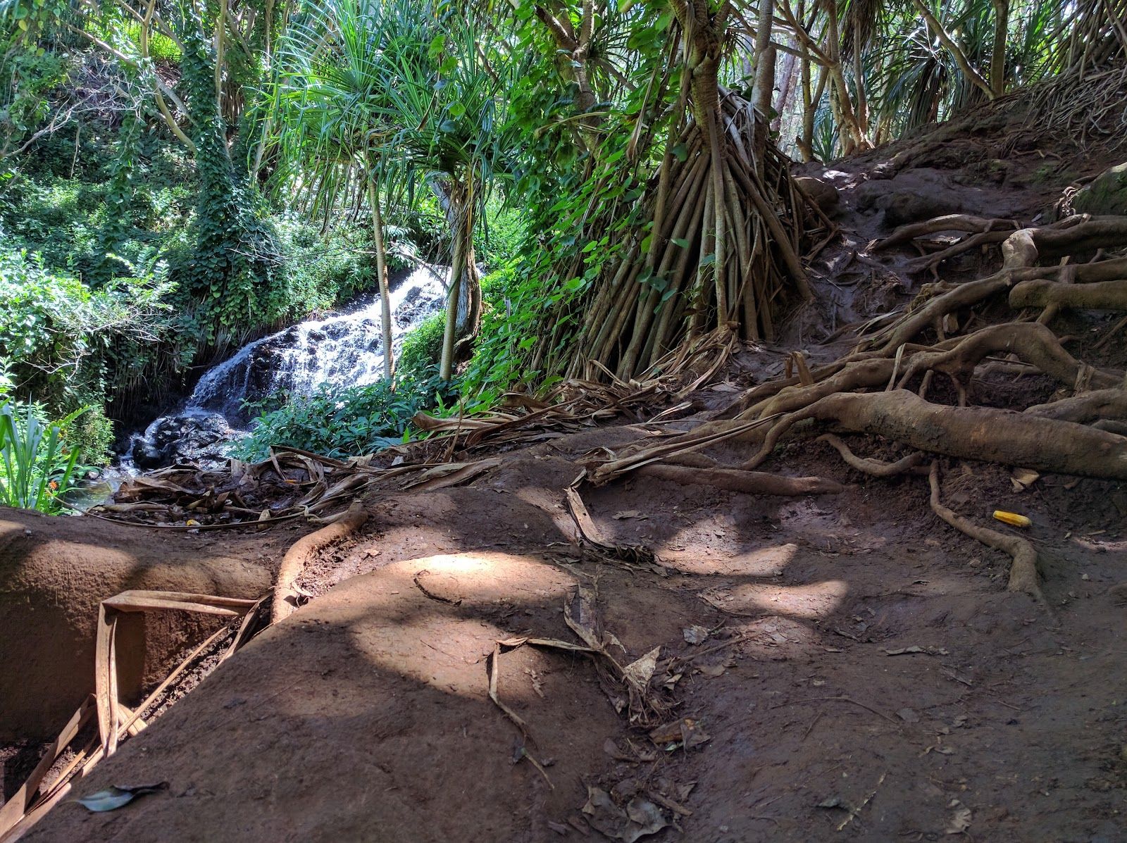 Queen’s Bath in Princeville, Kaua‘i photo 3