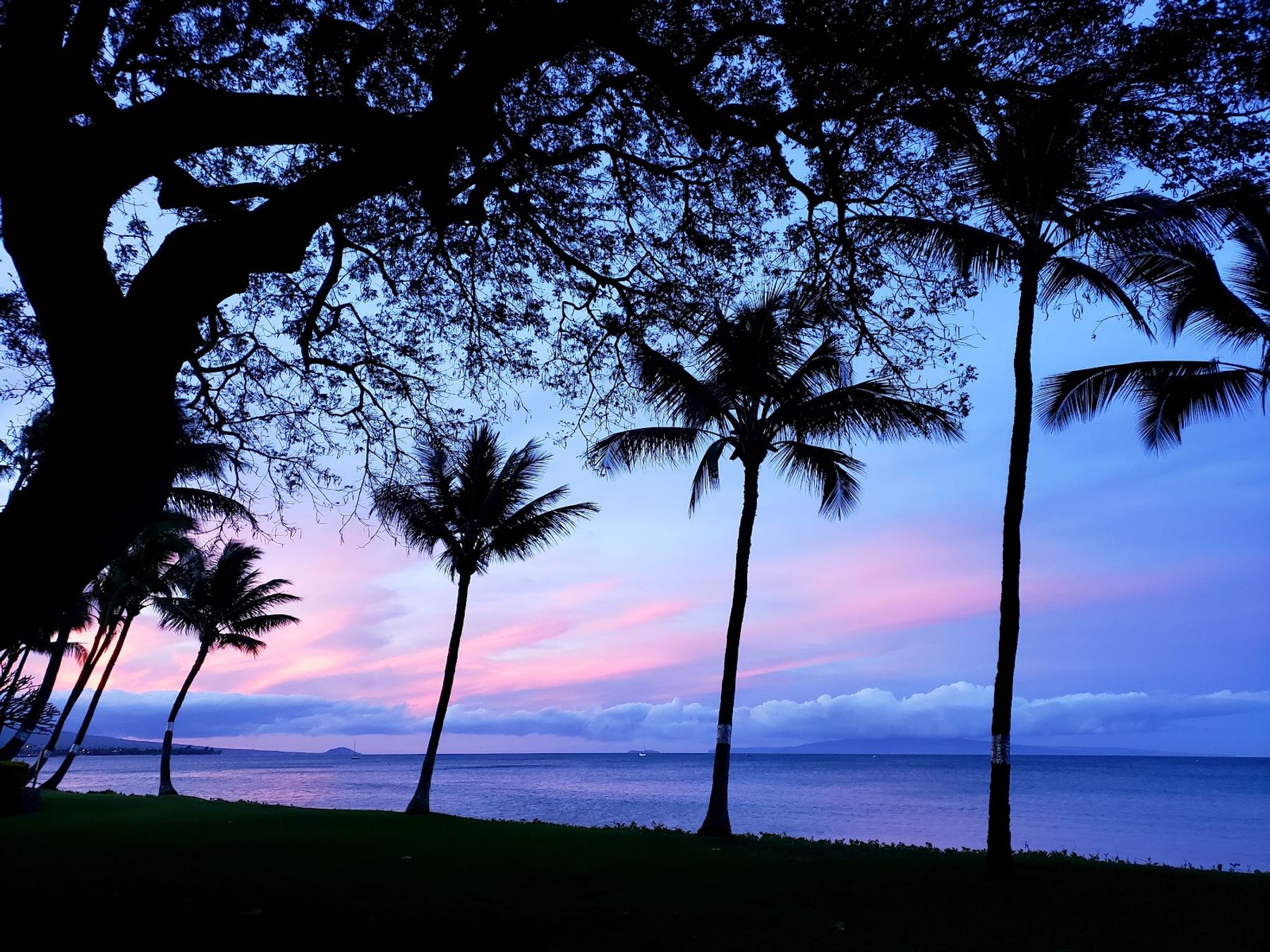 Photo 6 of Kealia Resort in Kīhei, Maui
