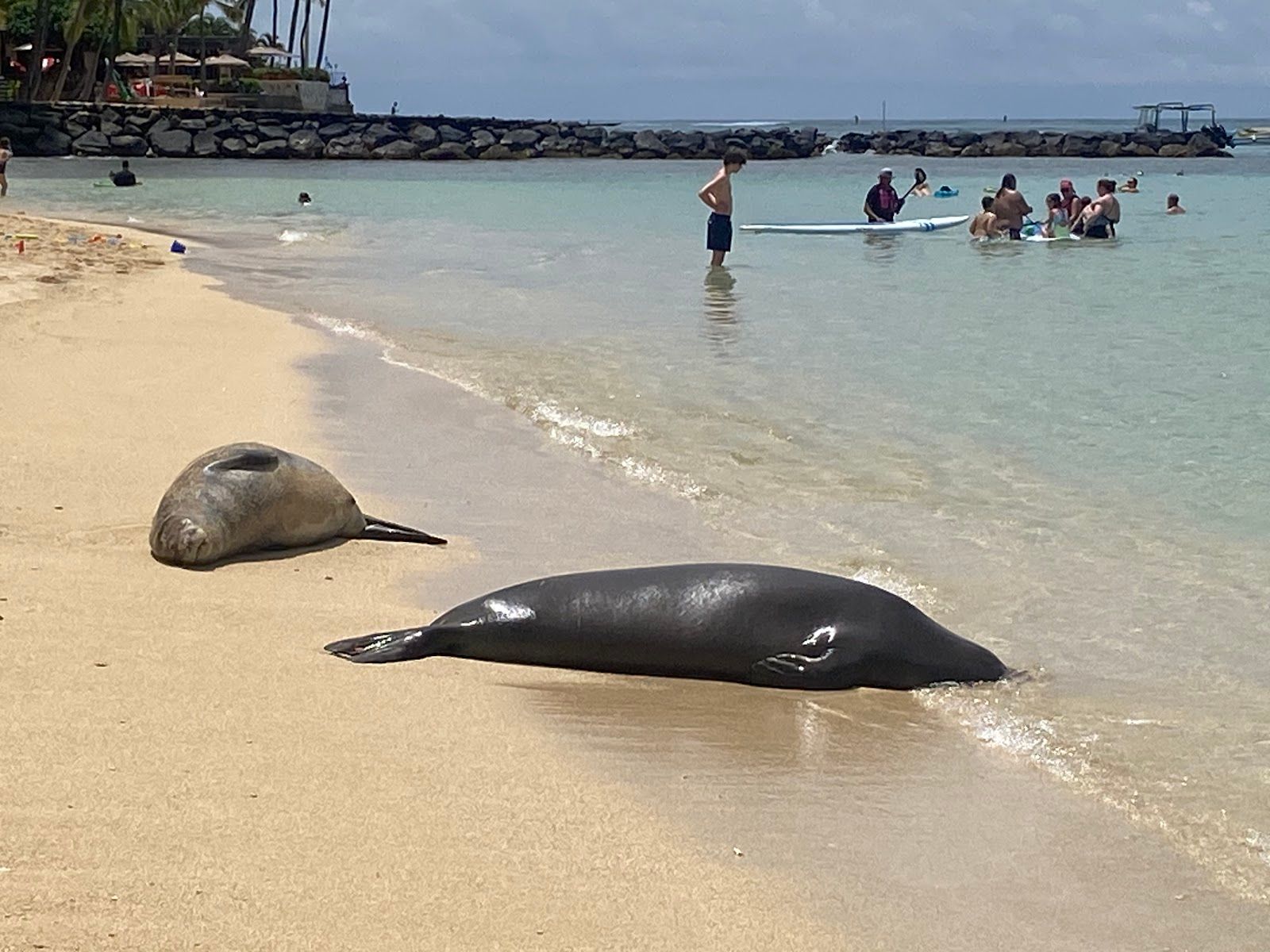 Photo 7 of Kaimana Beach in Diamond Head & Kapahulu, Oahu