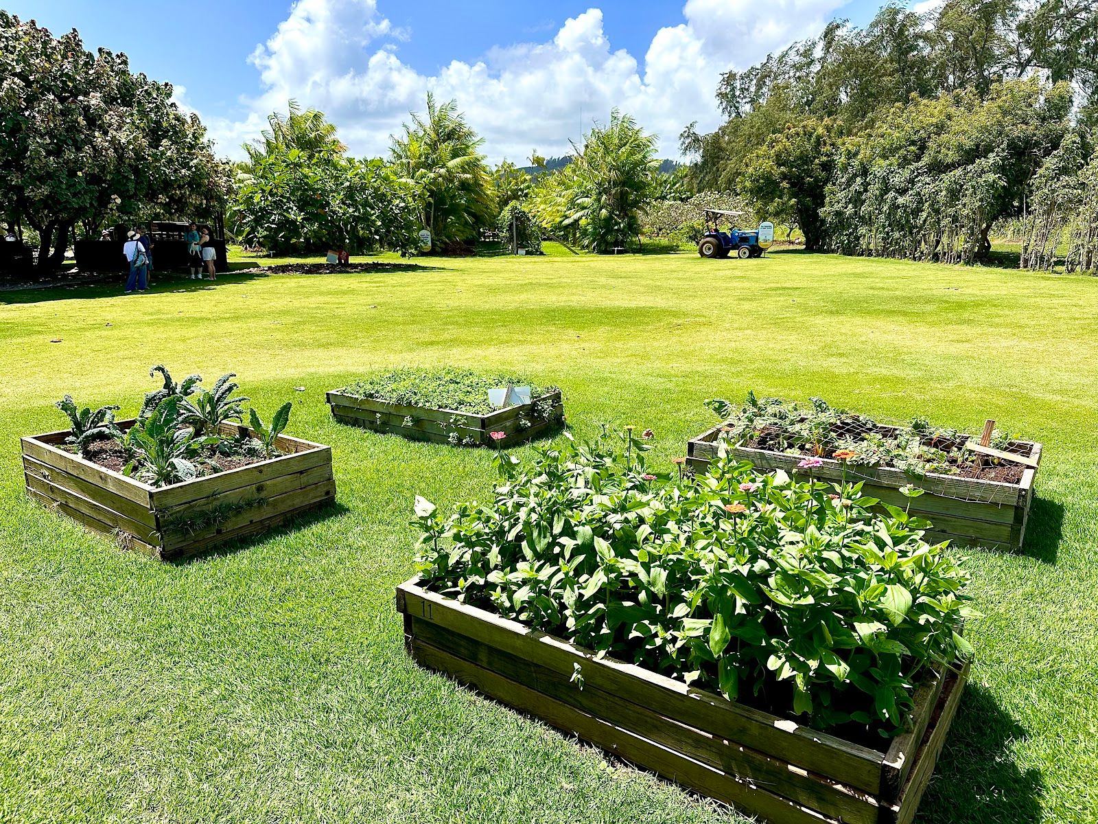Photo 8 of Kahuku Farms in Kahuku & Turtle Bay, Oahu