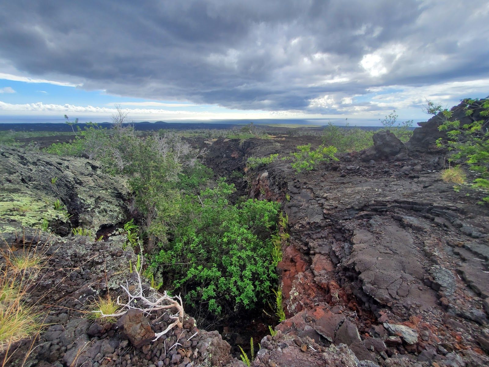 Photo 8 of Manuka State Wayside in South Point, Big Island