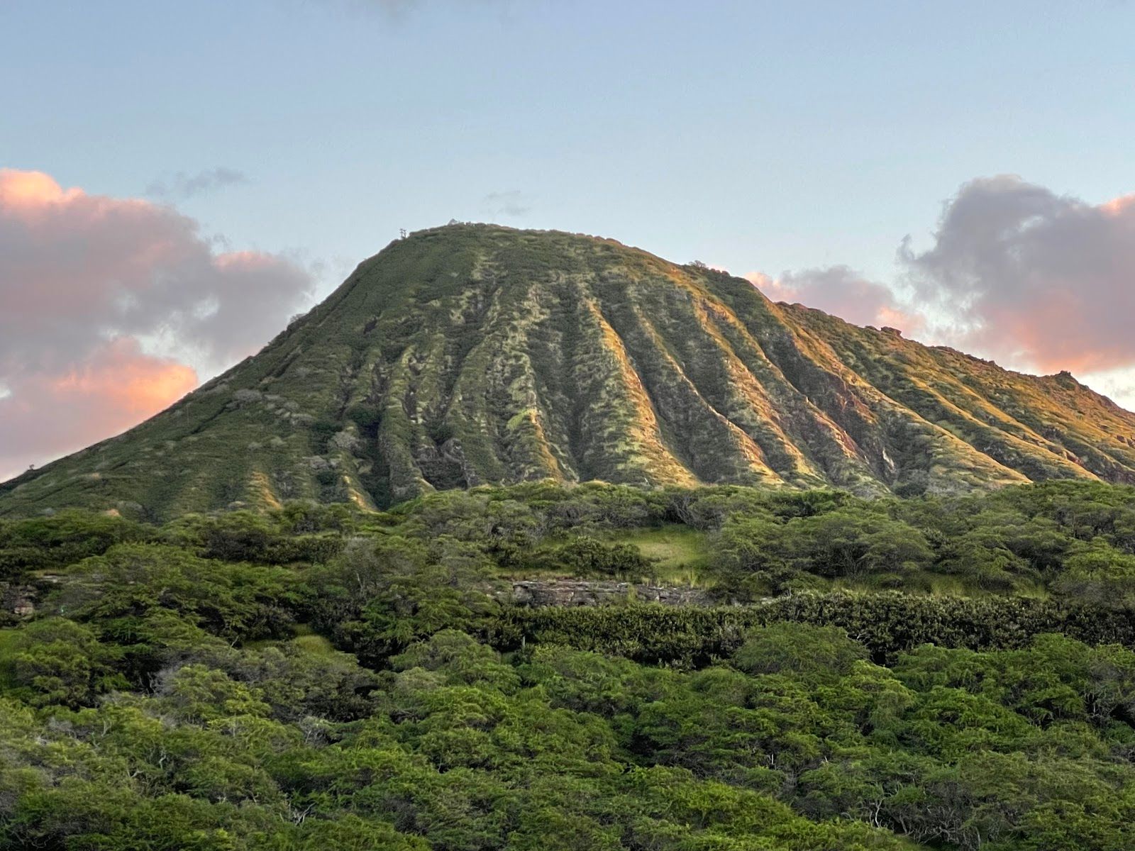 Photo 5 of Hanauma Bay Nature Preserve in Hawaiʻi Kai & East Honolulu, Oahu