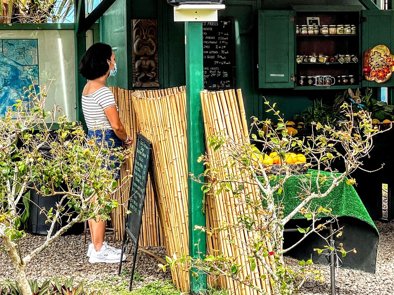 Photo 1 of Fresh Off the Grid, Kohala. in North Kohala, Big Island