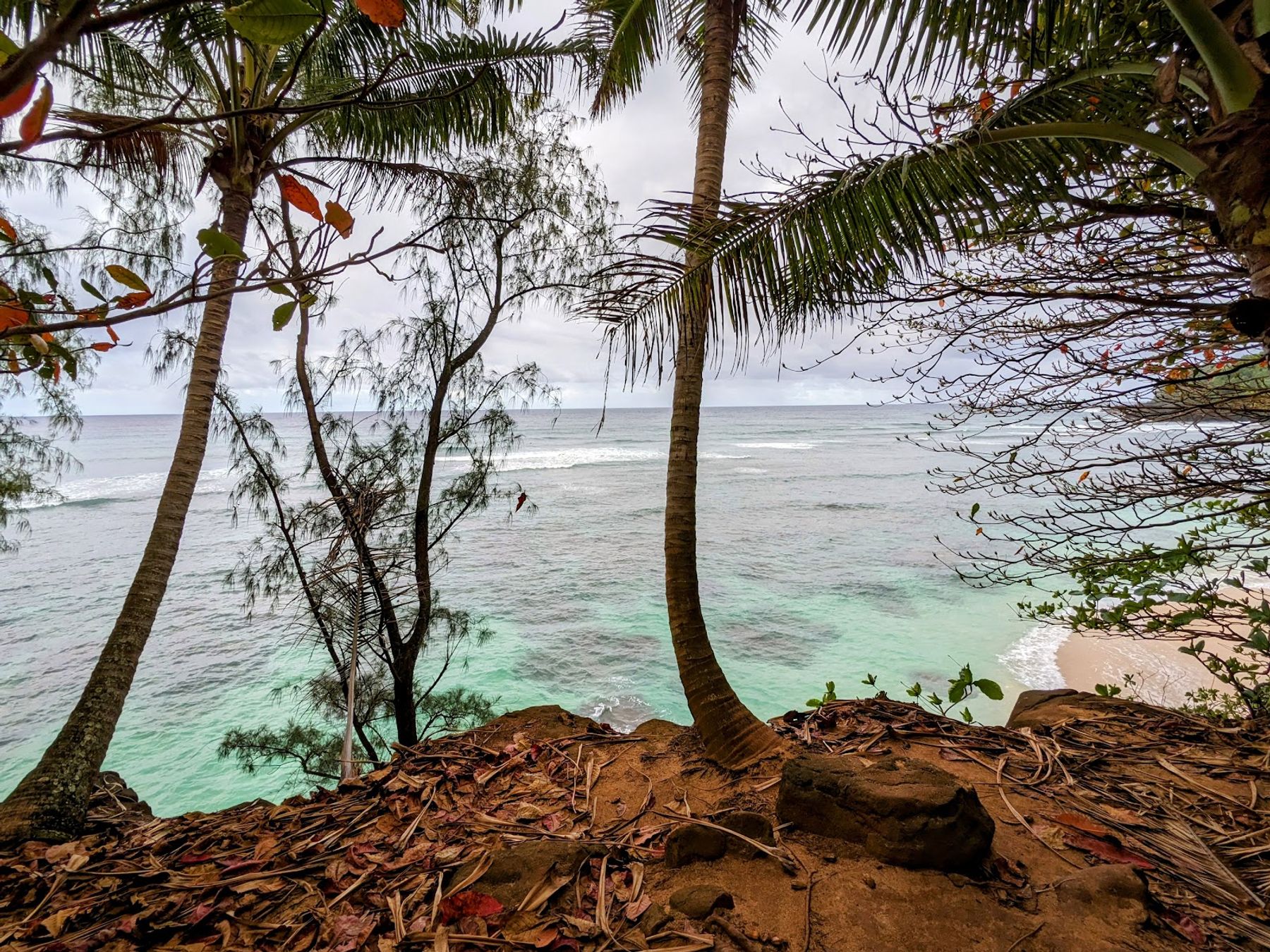 Hideaways Beach in Princeville, Kaua‘i photo 5