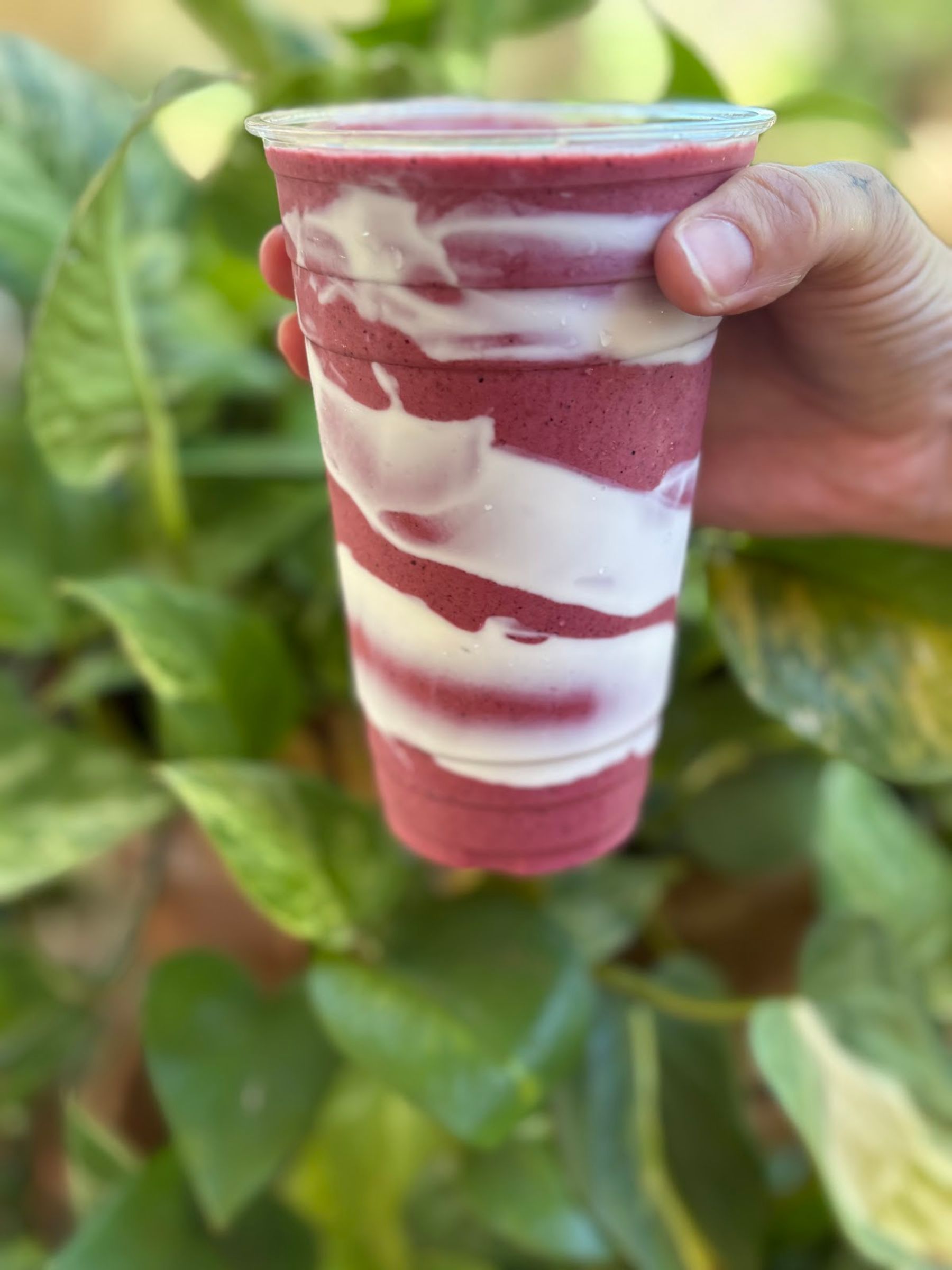 Photo 8 of Kauai Acai in Poʻipū, Kauai