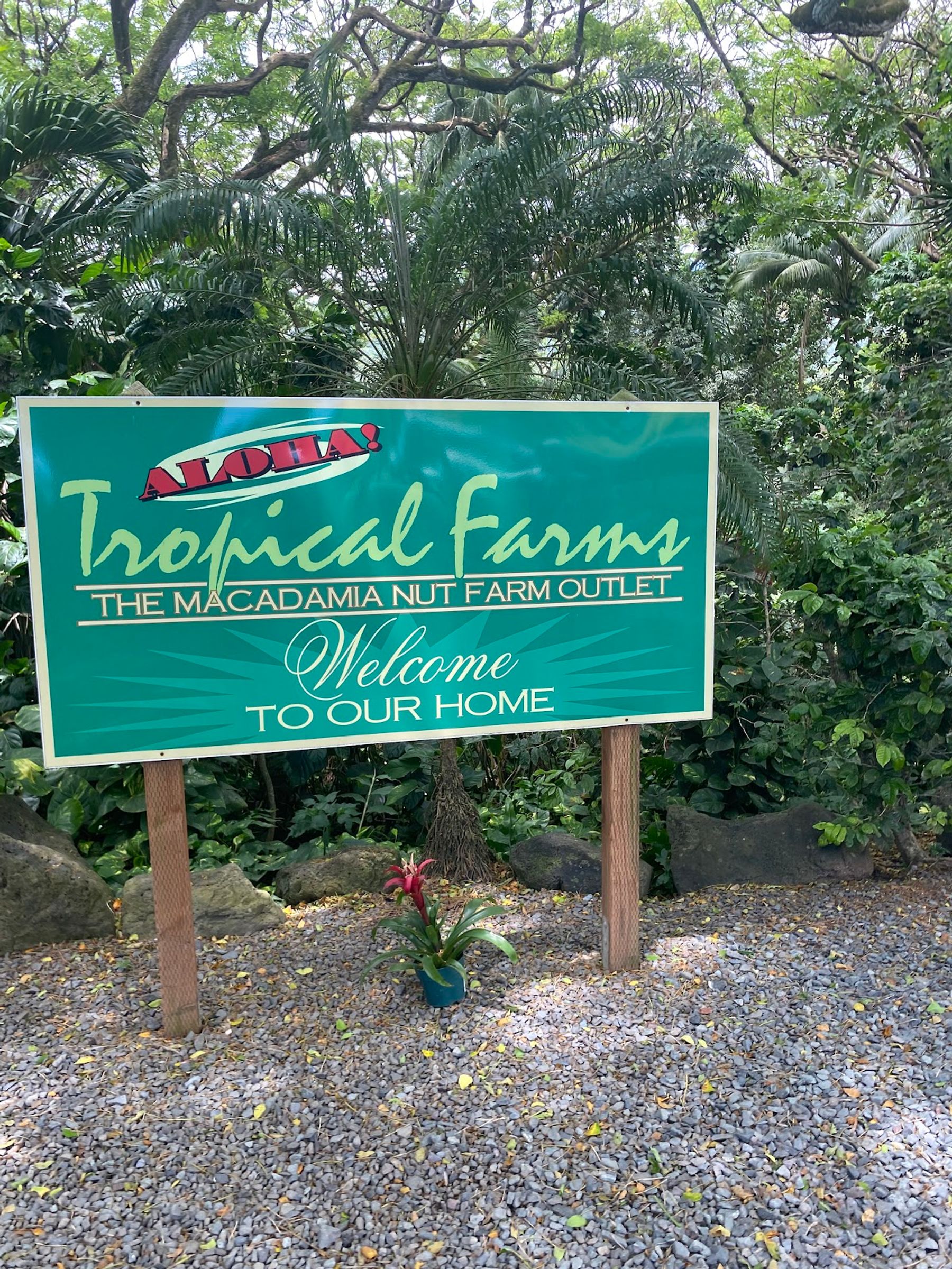 Photo 6 of Oahu Circle Island Tours in Waikīkī, Oahu