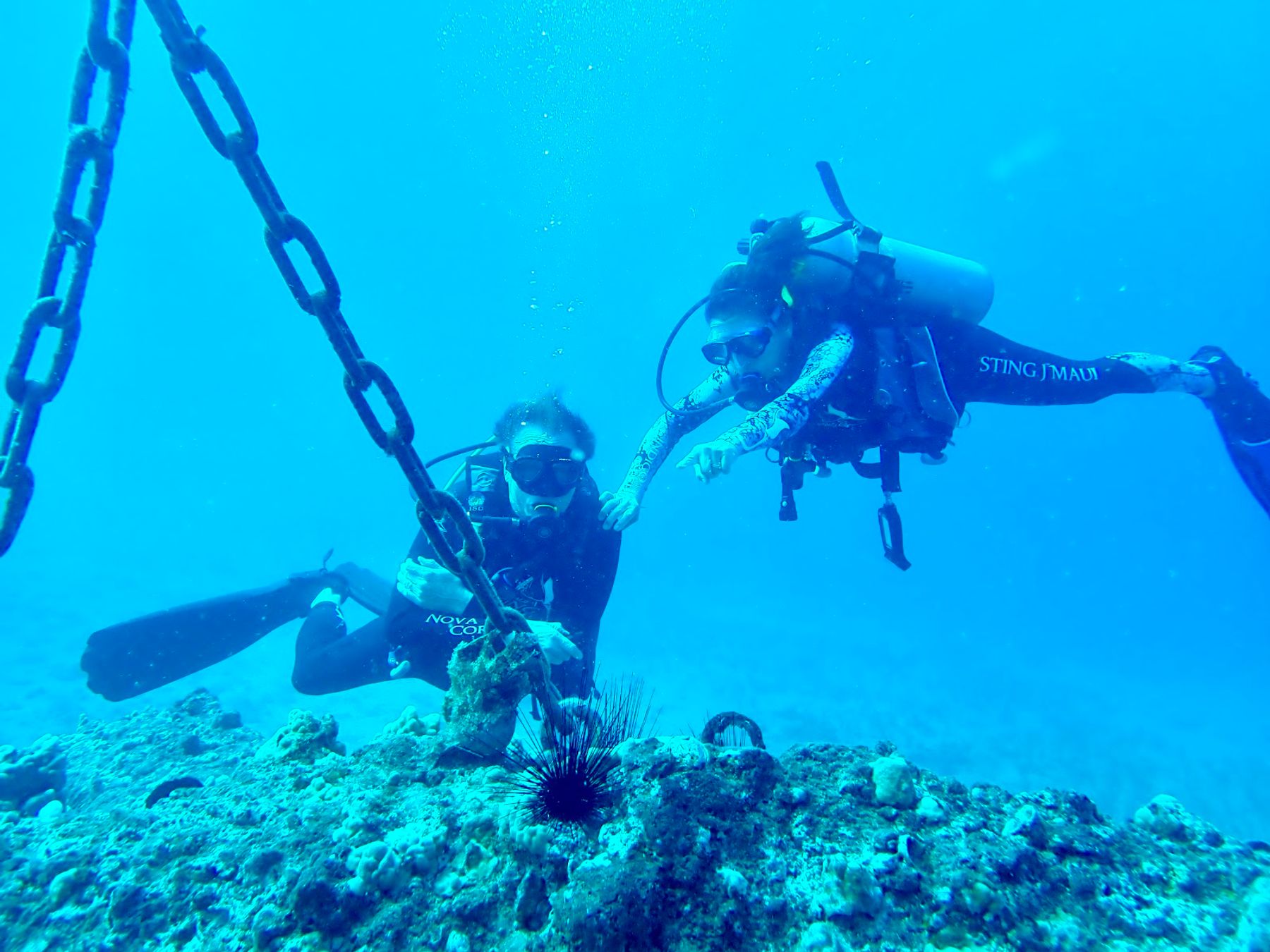 Photo 1 of Island Style Diving in Wailea, Maui