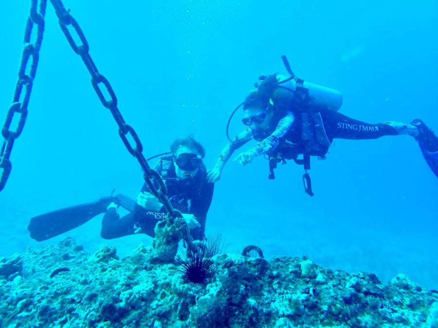 Photo 1 of Island Style Diving in Wailea, Maui